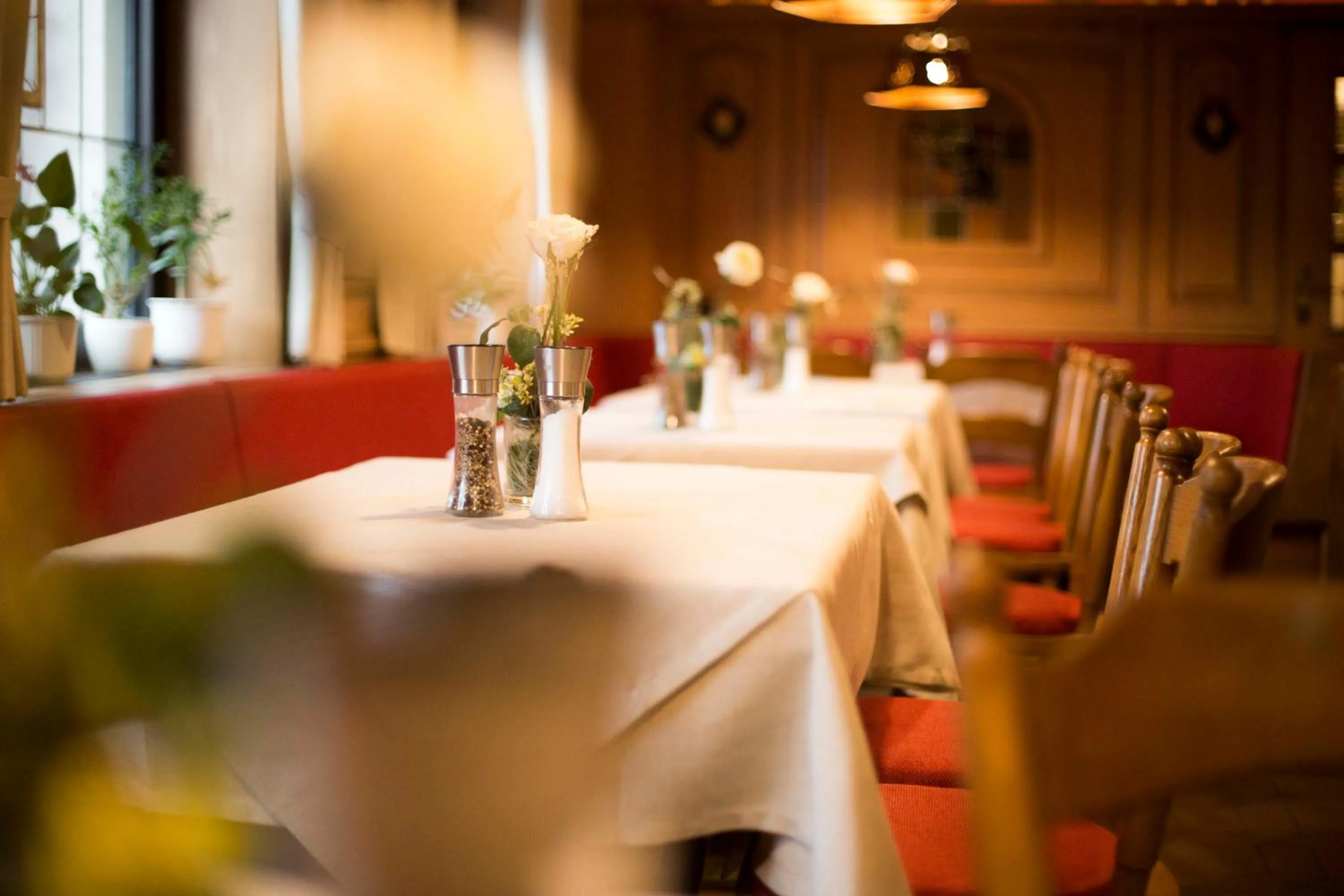 Restaurant/places to eat in Hotel Herrnbrod & Ständecke