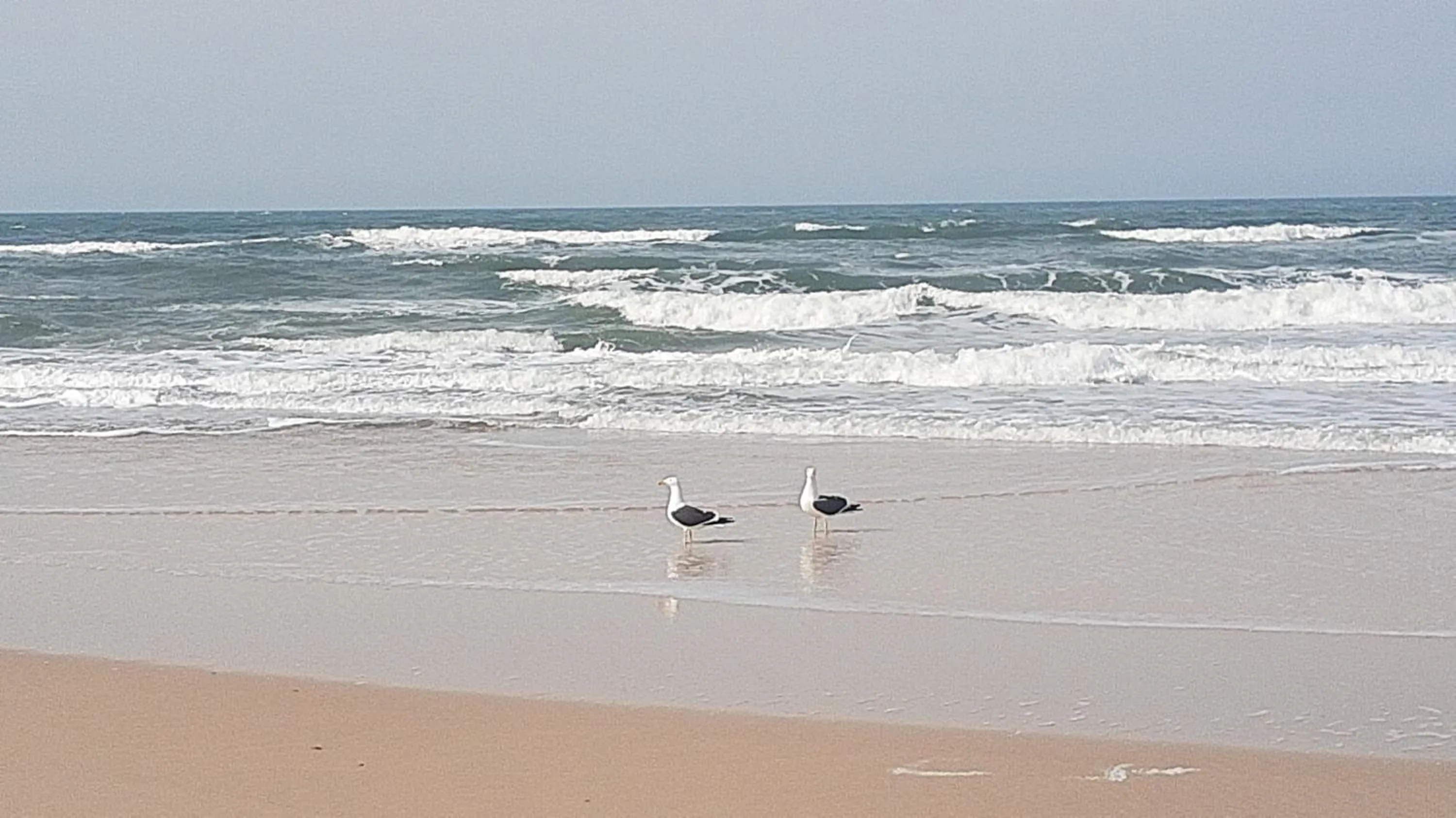 Natural landscape in Pousada Gopak