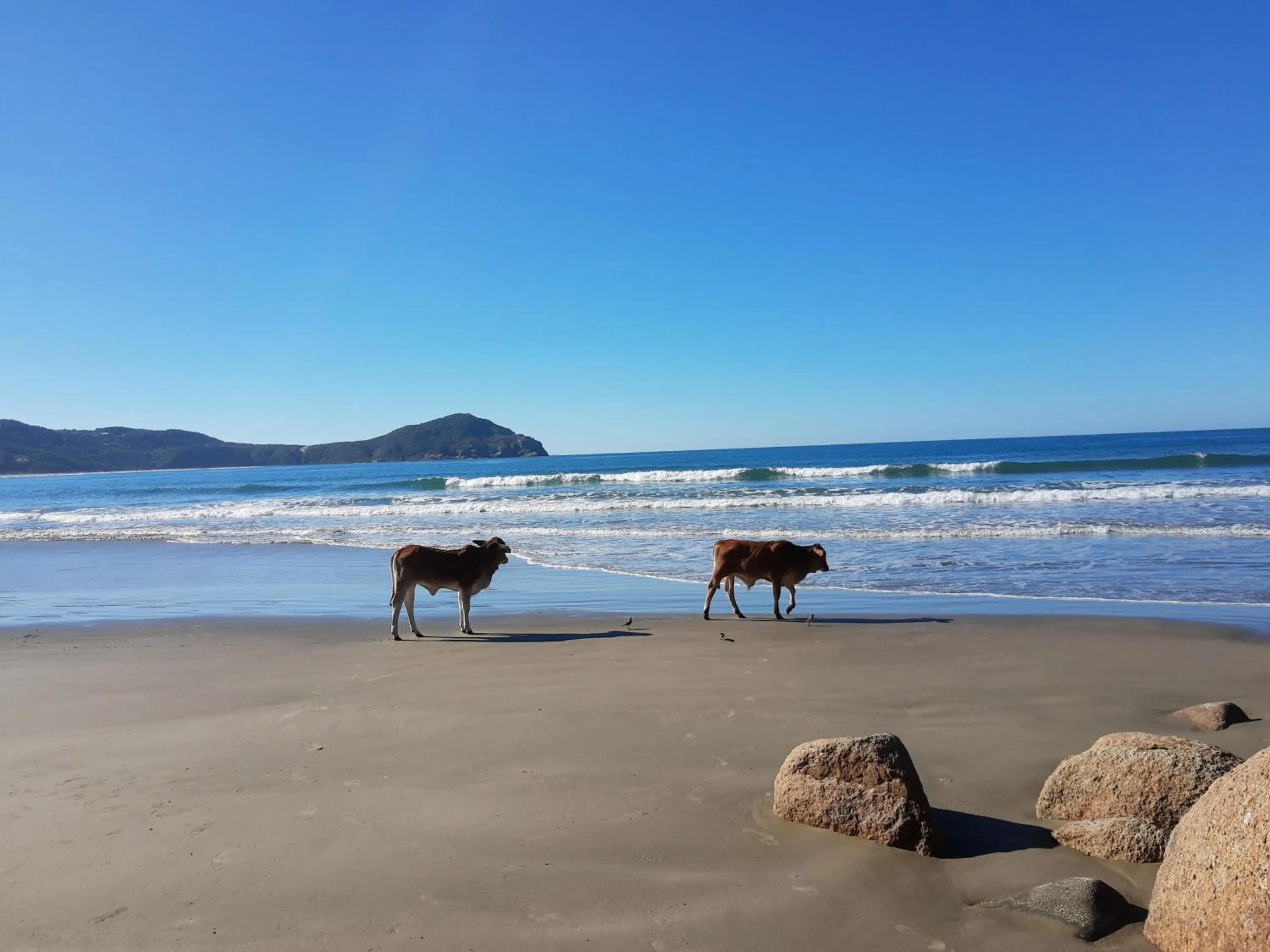Natural landscape in Pousada Gopak
