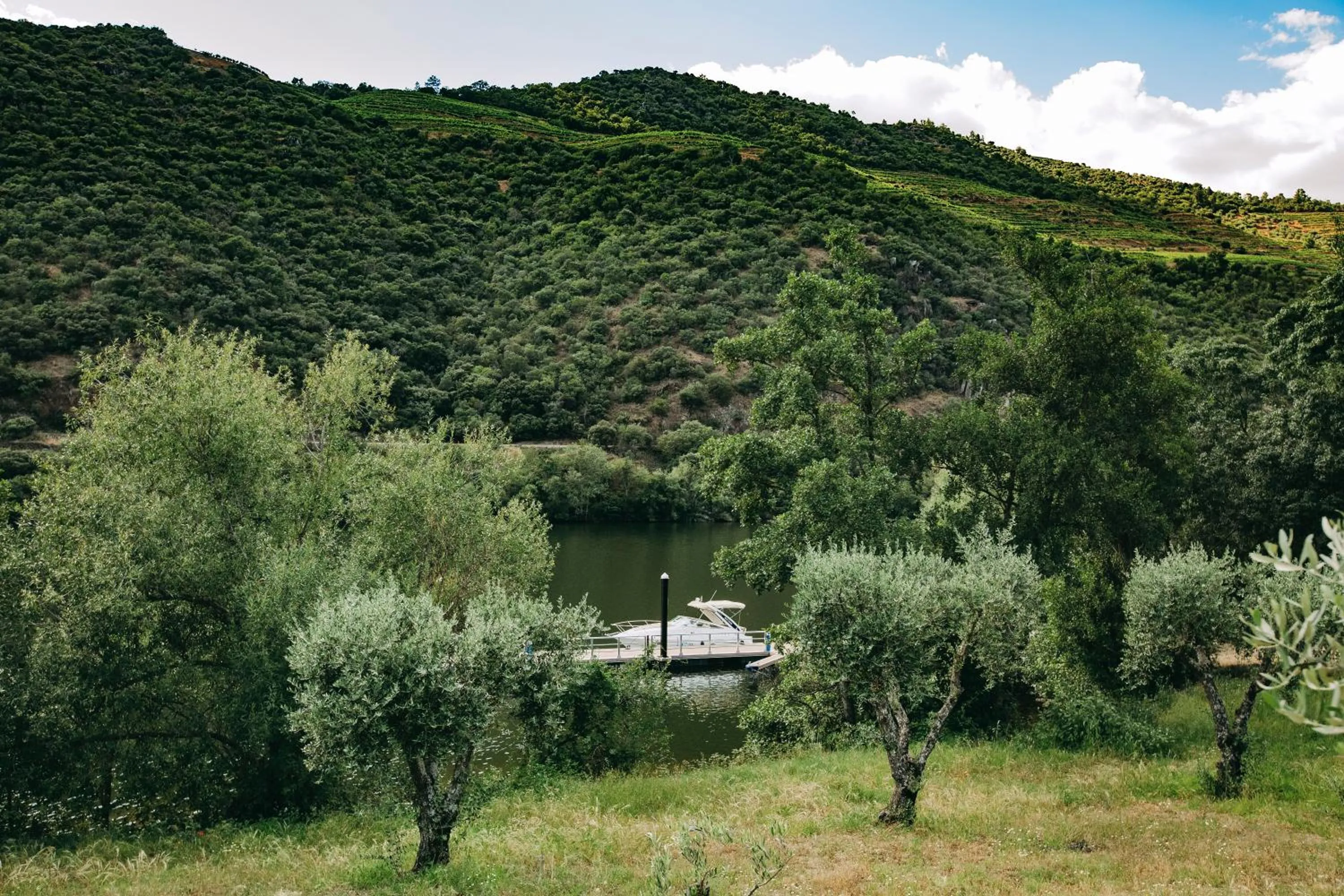 Activities in Ventozelo Hotel & Quinta