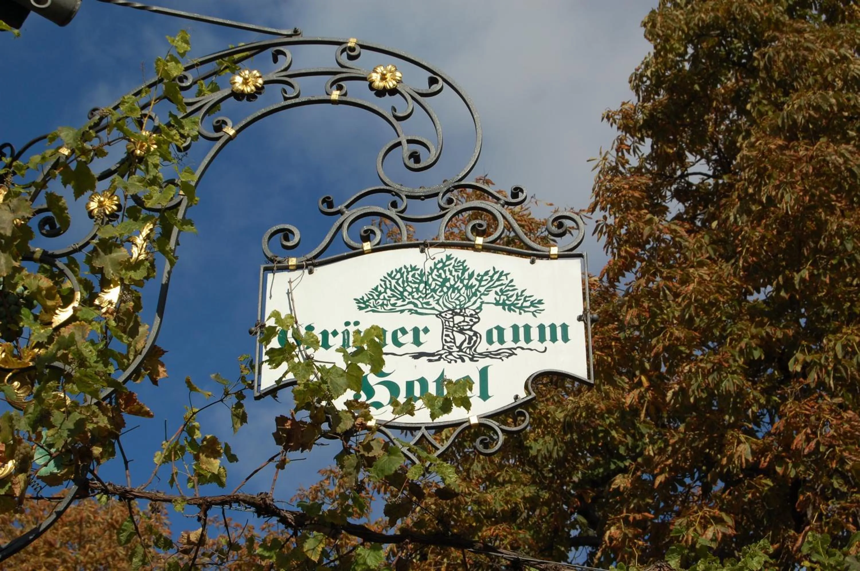 Logo/Certificate/Sign in Hotel Grüner Baum