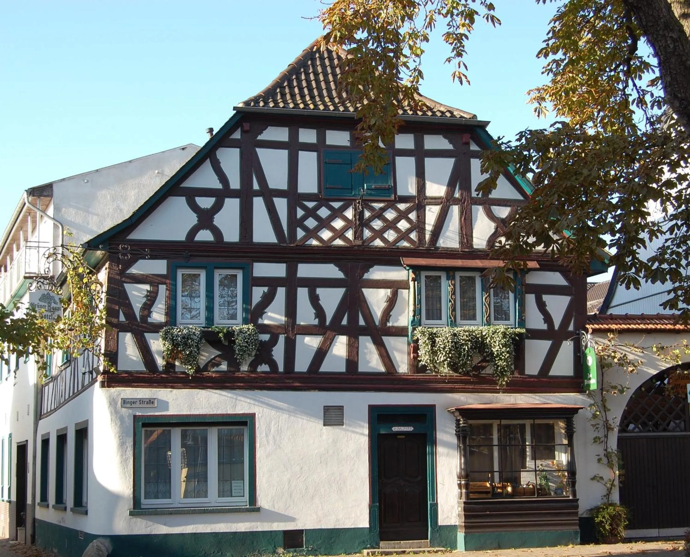 Property building in Hotel Grüner Baum