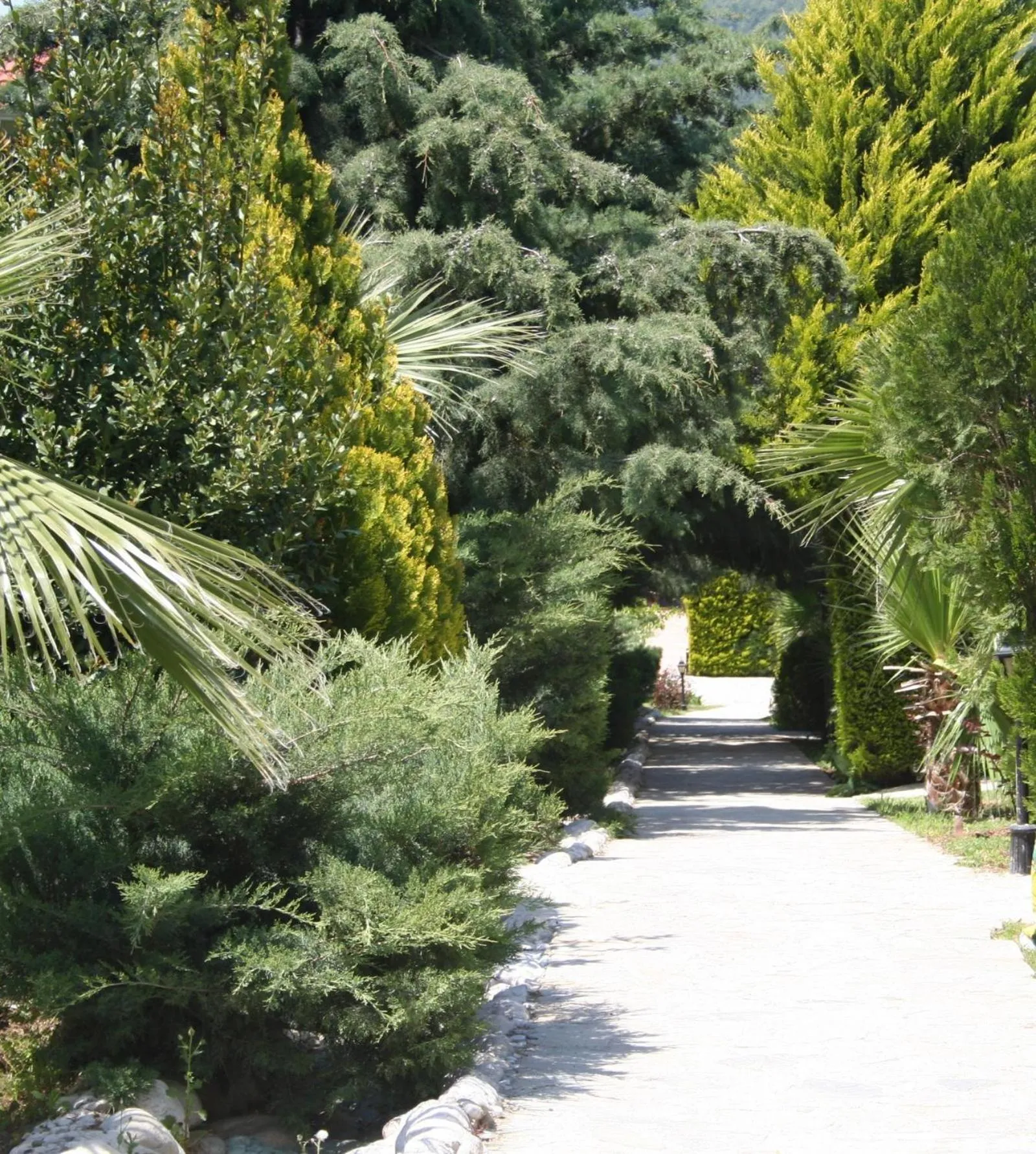 Natural landscape in Hotel Greenland - All Inclusive