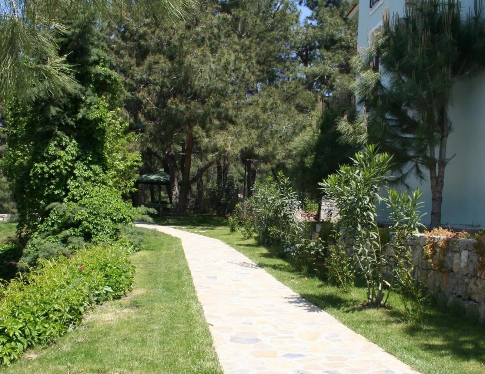 Natural landscape in Hotel Greenland - All Inclusive