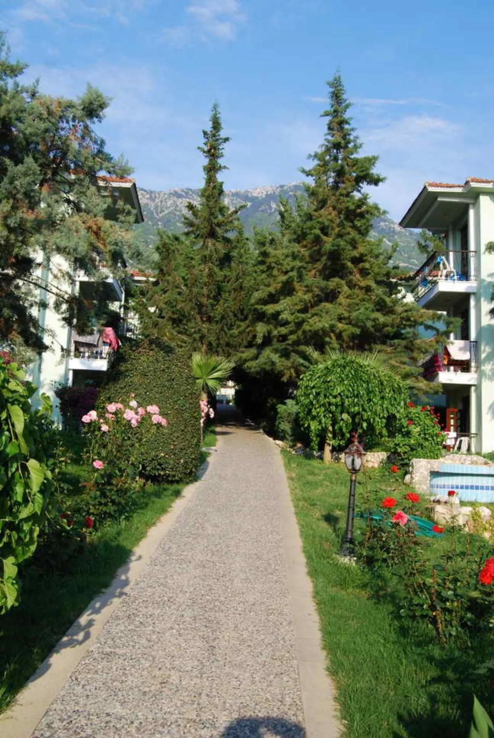 Garden view in Hotel Greenland - All Inclusive