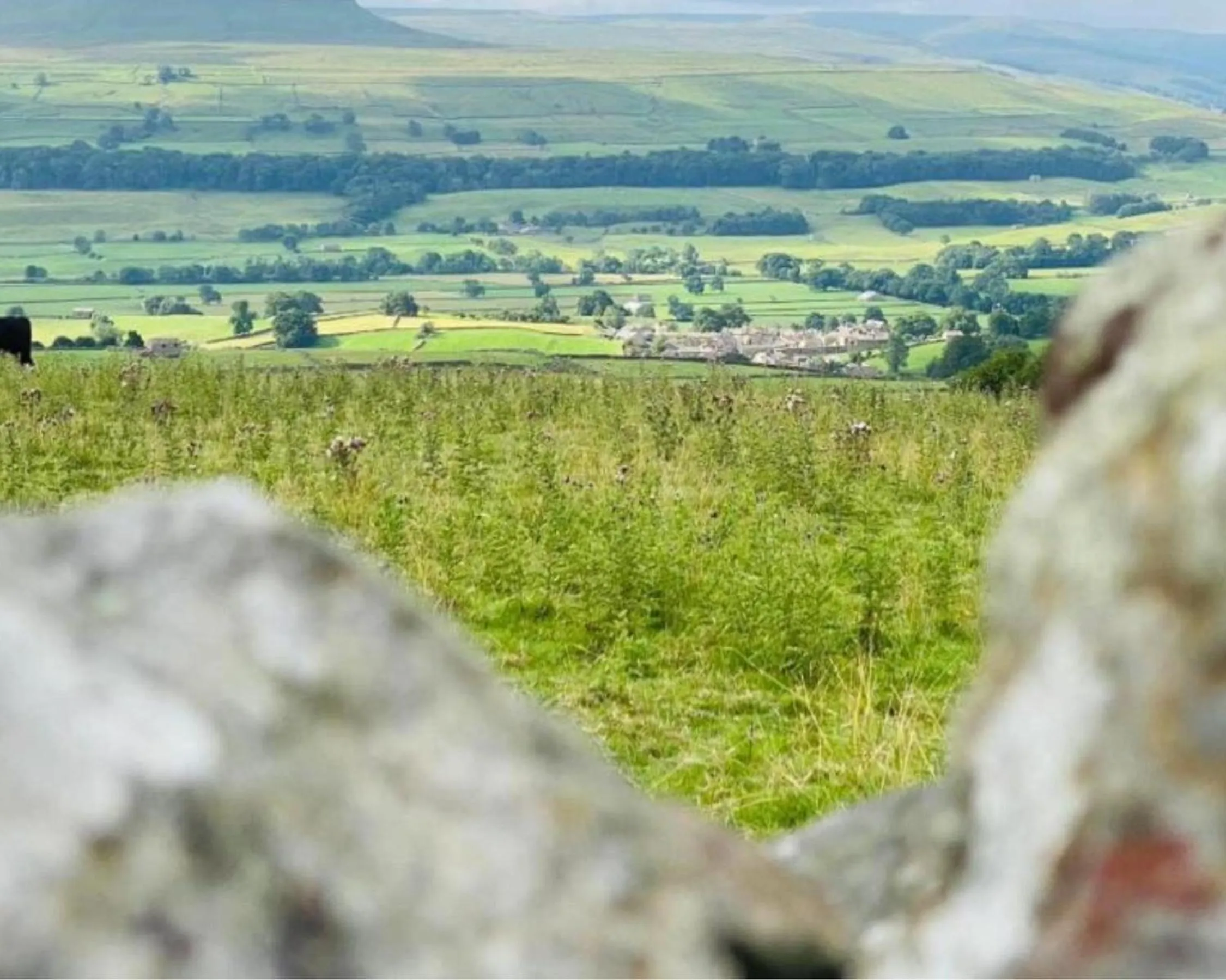Hiking in Middle House - Wensleydale, Yorkshire Dales