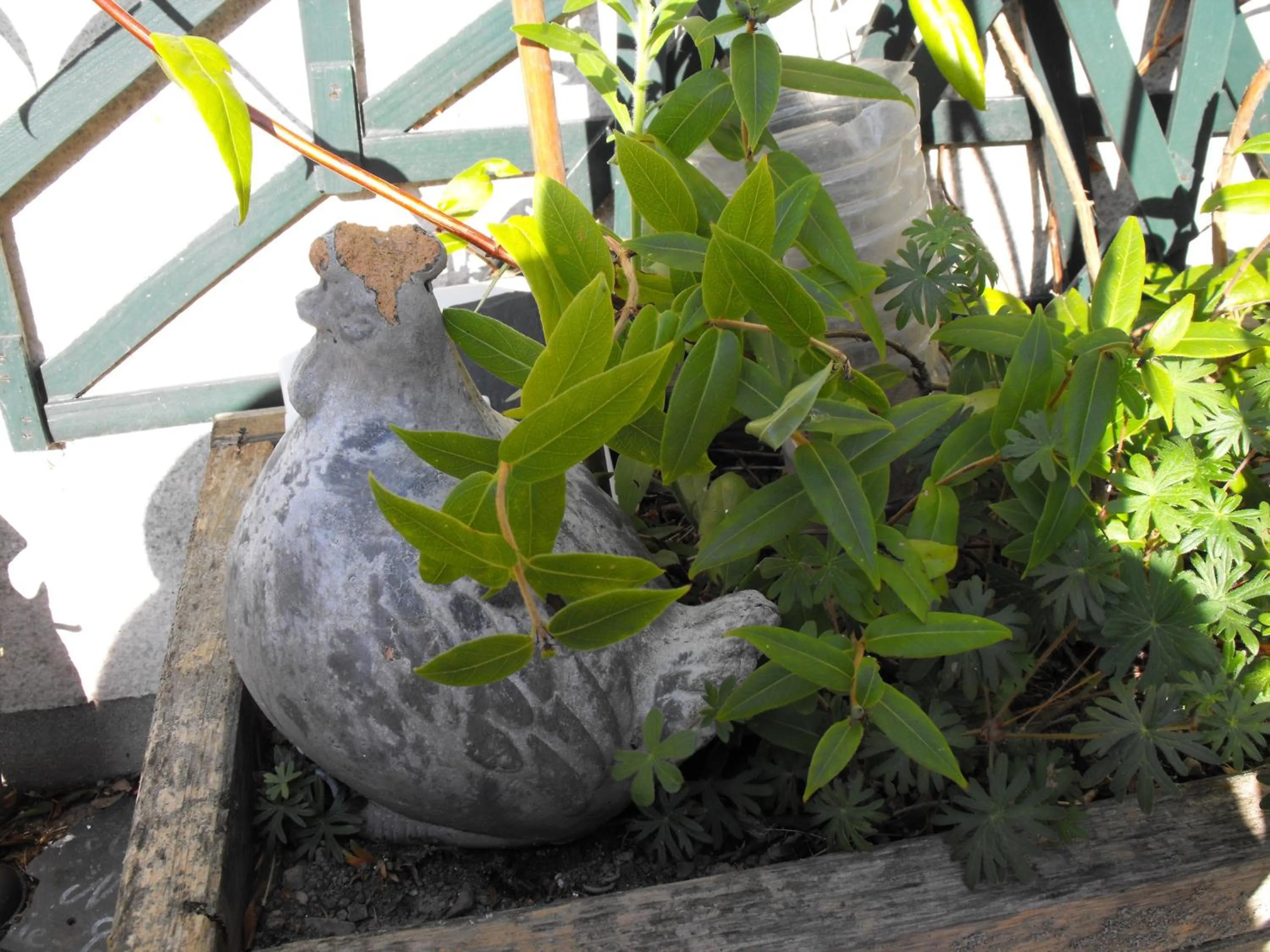 Garden in Maison d'hôtes Les Vallées