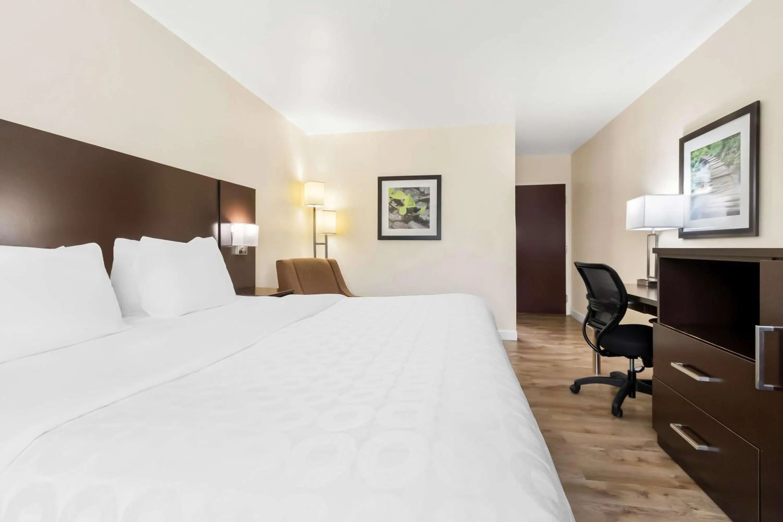 Bedroom, Bed in Best Western Patriots Point