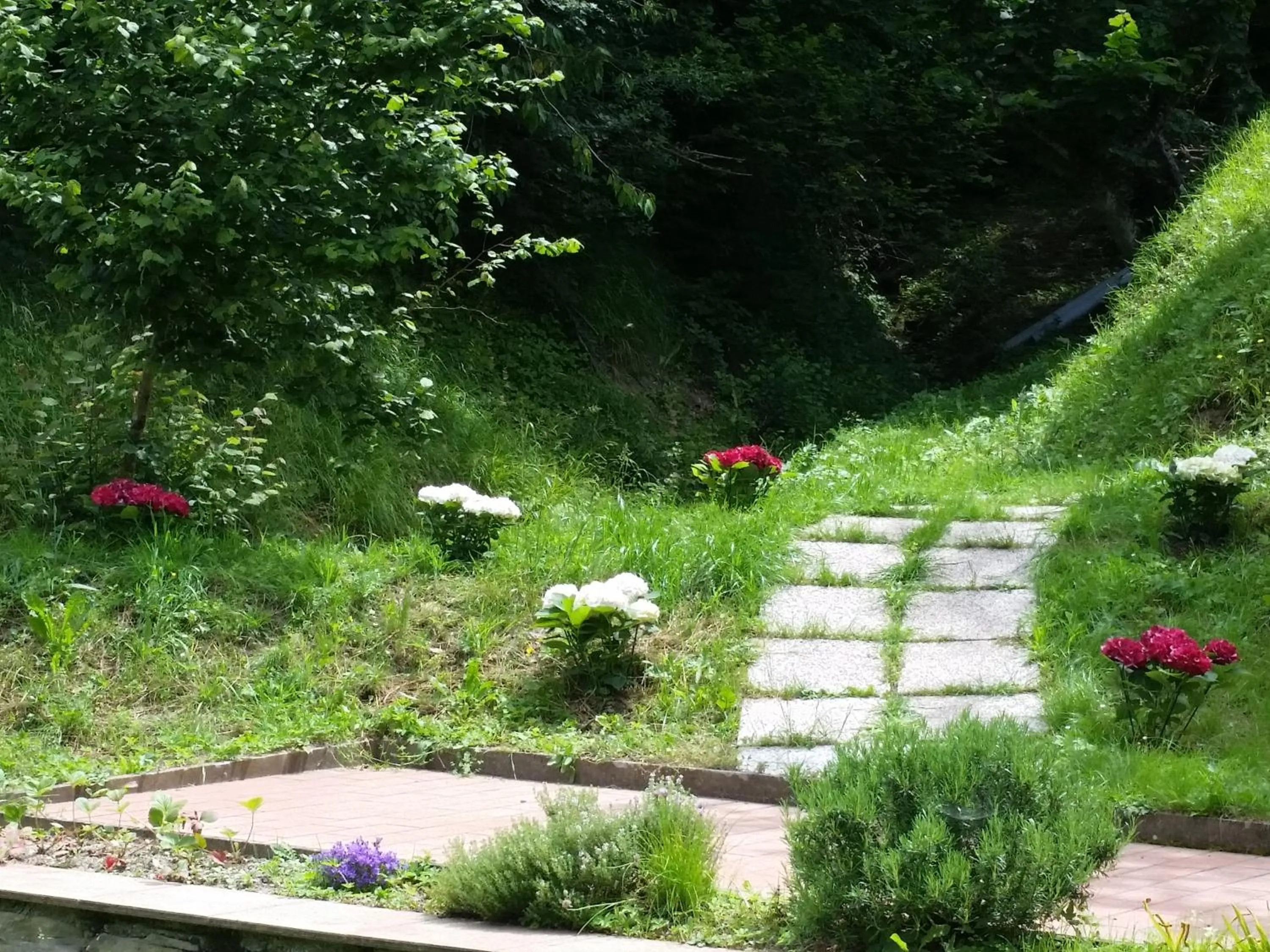 Property building in B&B il Bagarello