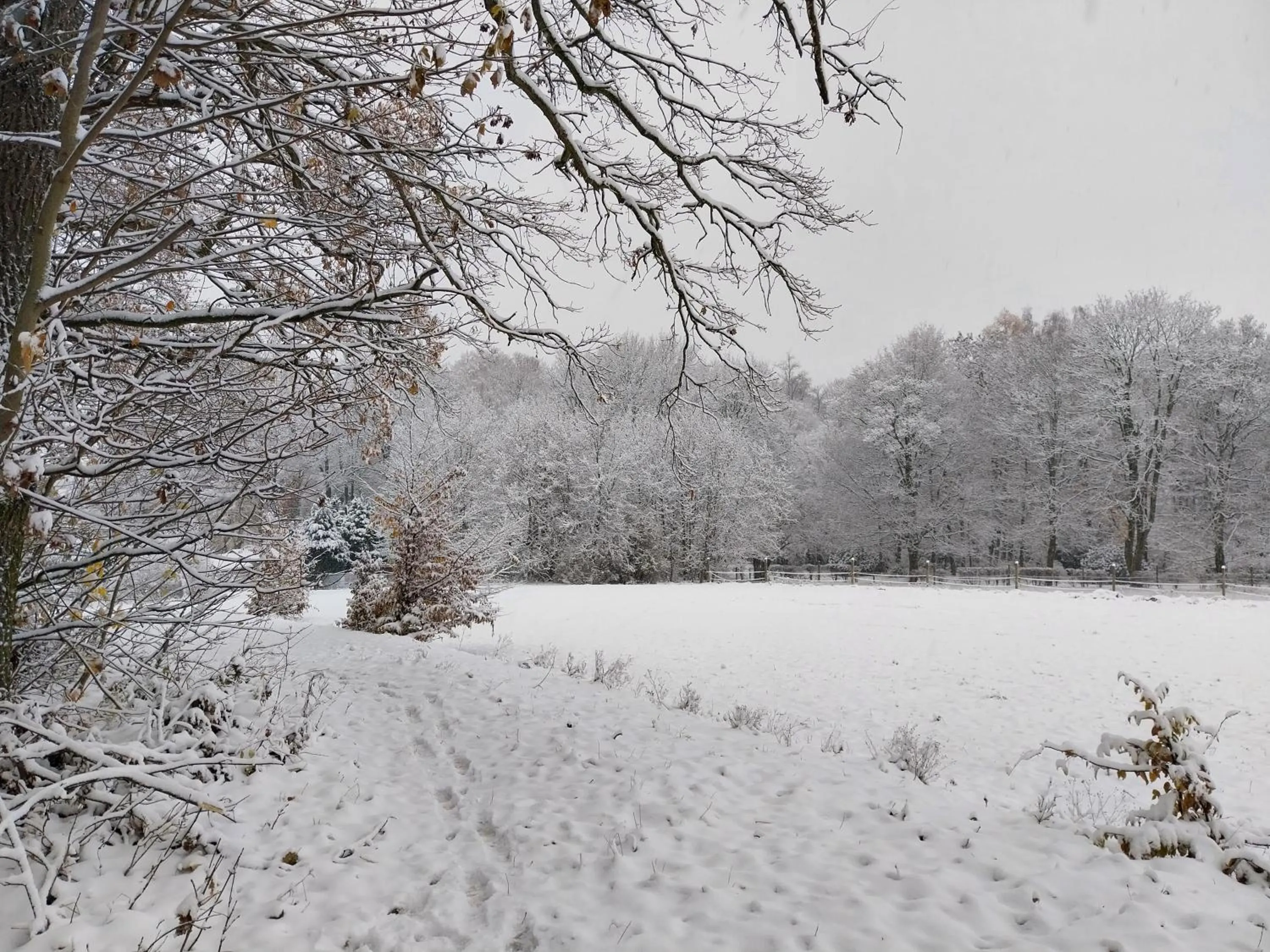 Activities in Landhotel Waldschlößchen mit Gaststube