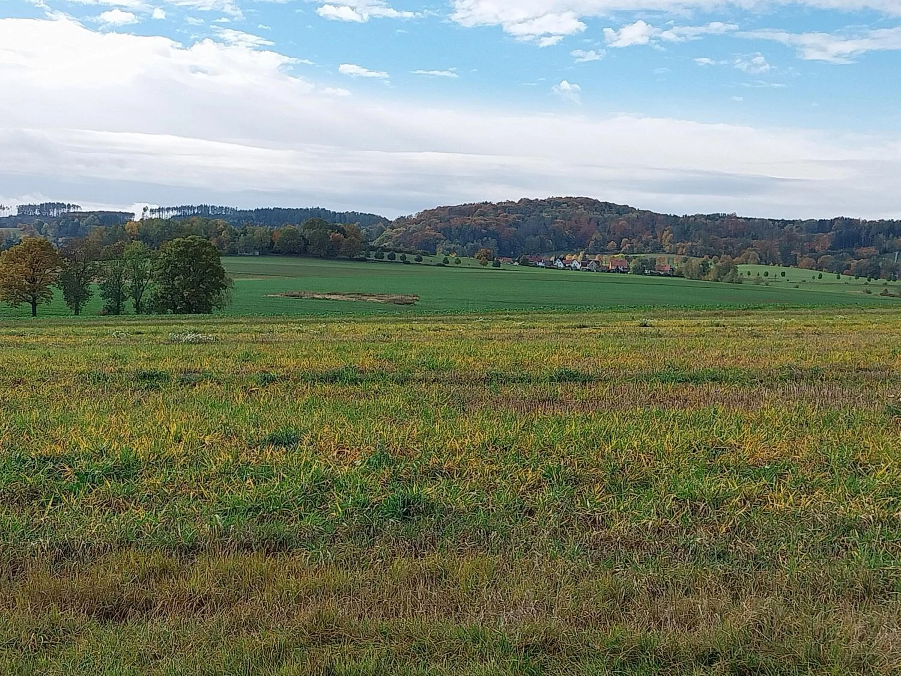 Natural landscape in Landhotel Waldschlößchen mit Gaststube