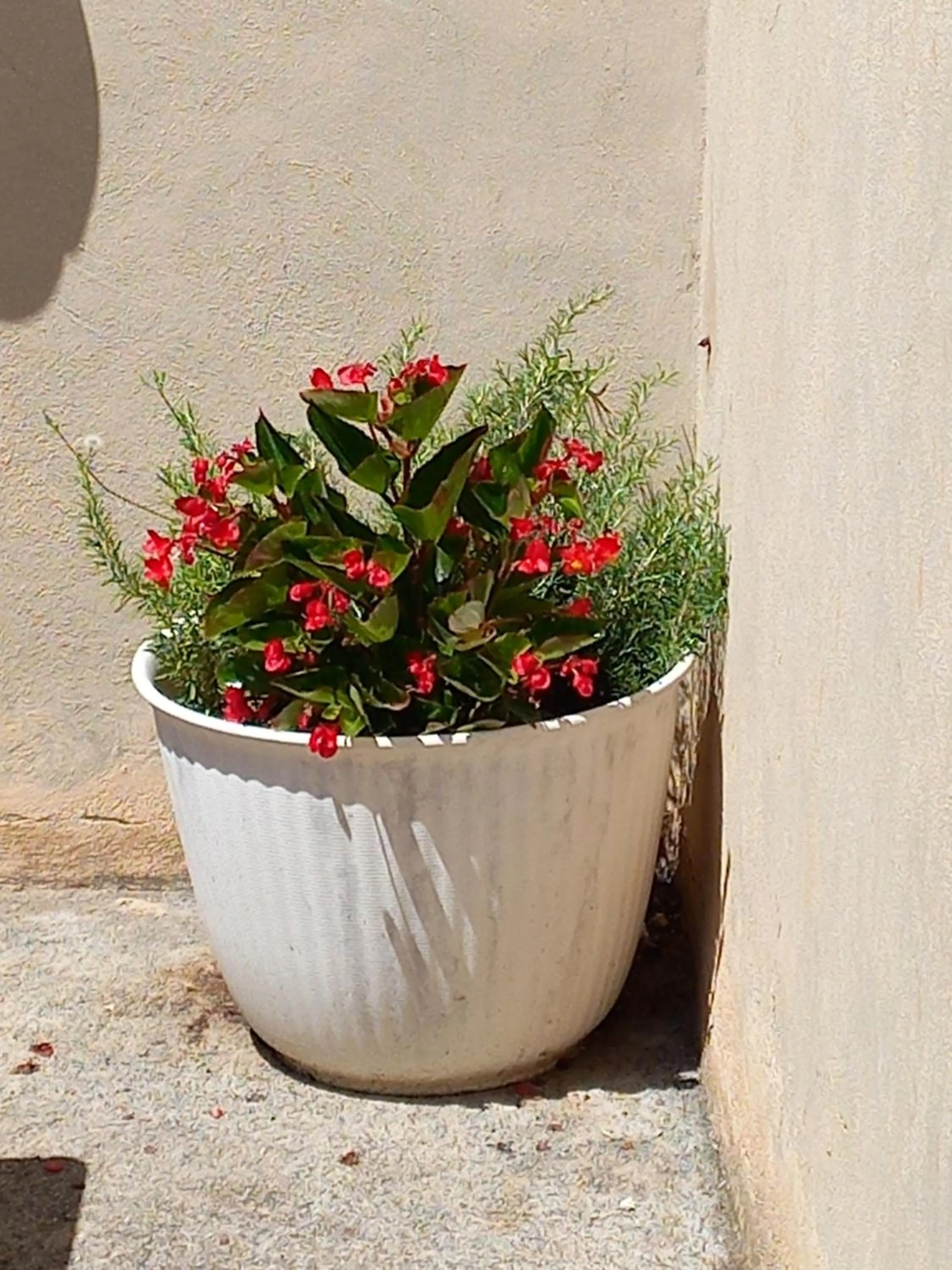 Balcony/Terrace in Hôtel Du Cours