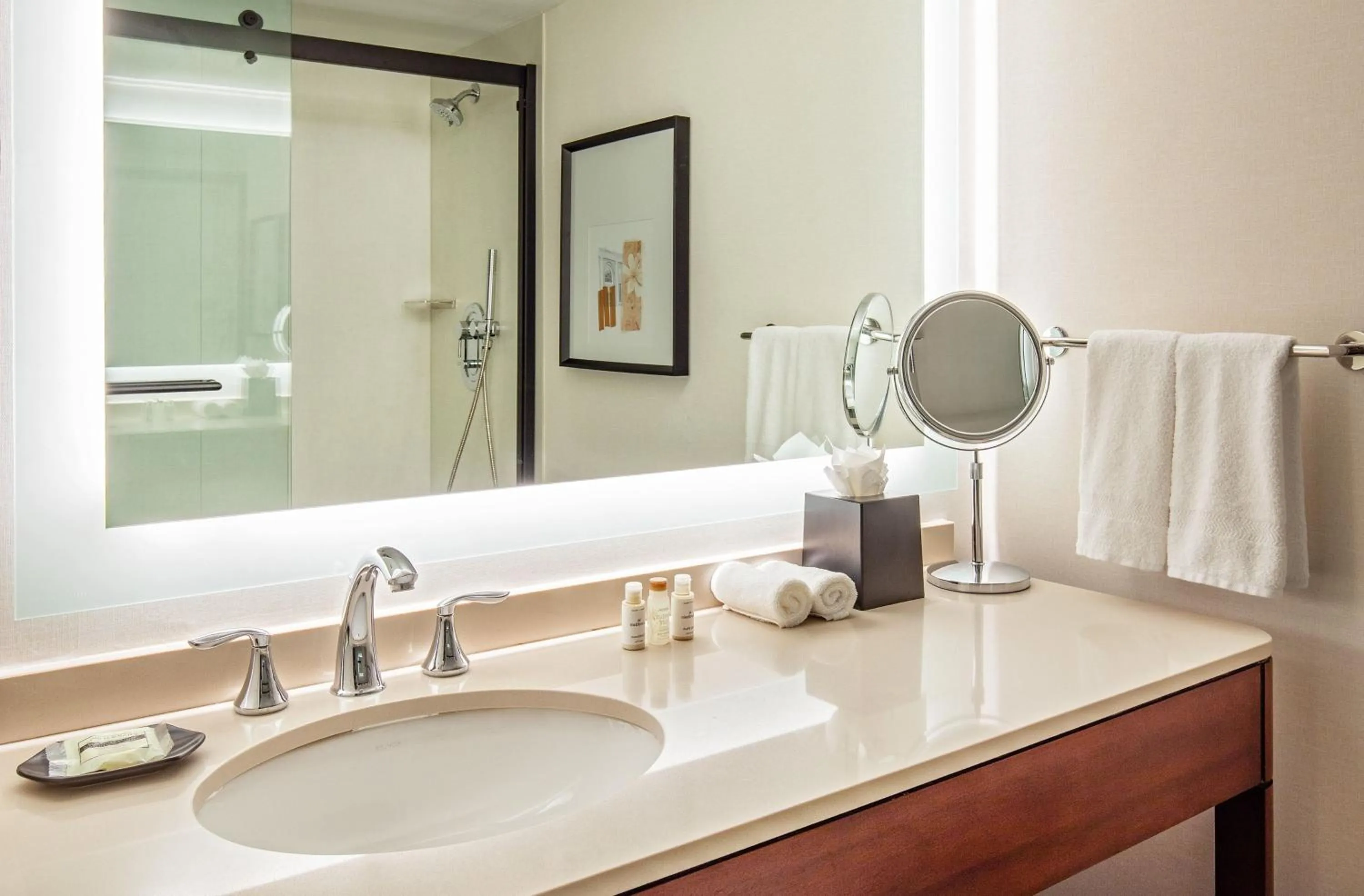 Bathroom in Sheraton Boston Needham Hotel