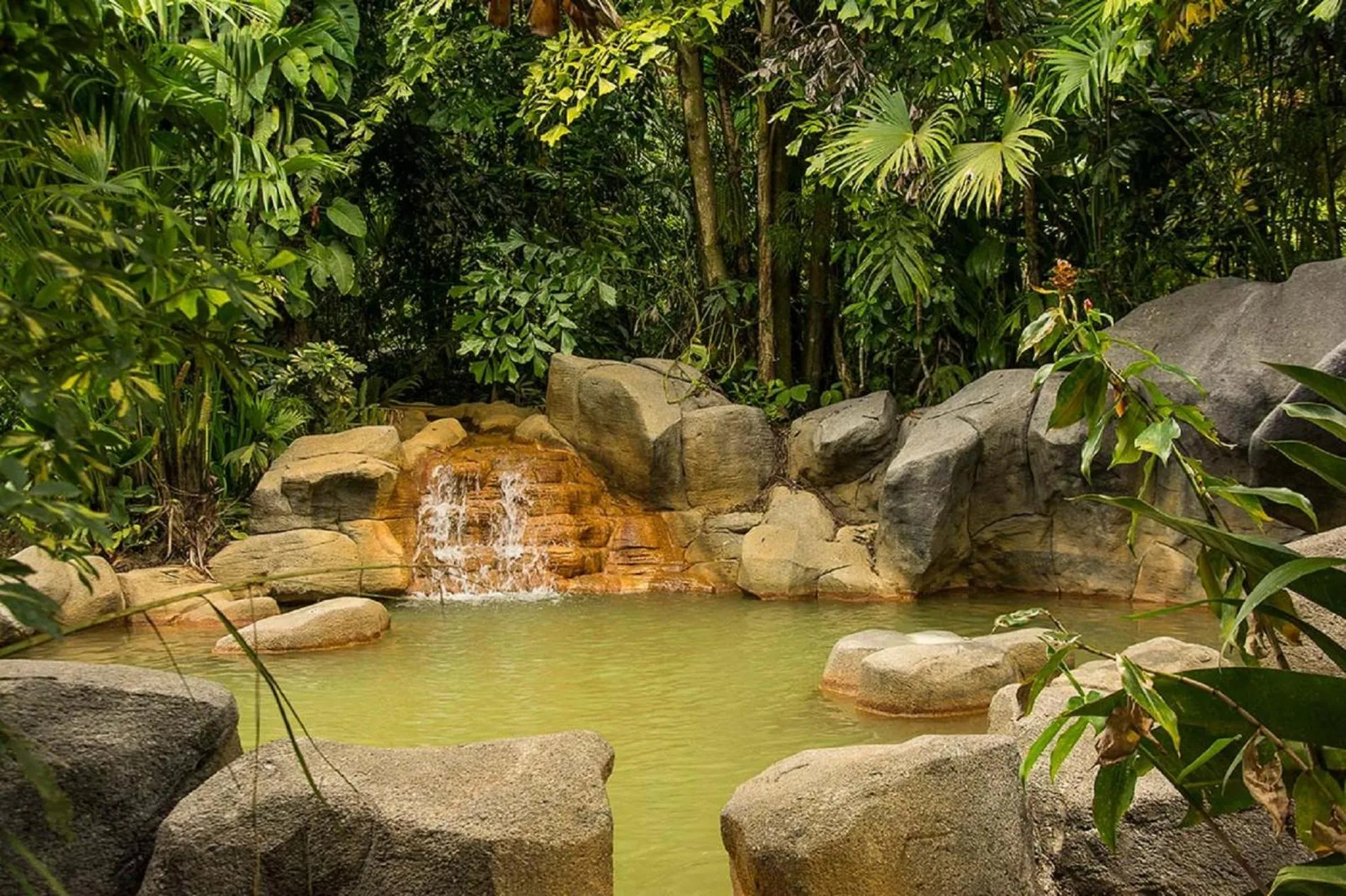 Natural landscape in Arenal Paraiso Resort Spa & Thermo Mineral Hot Springs