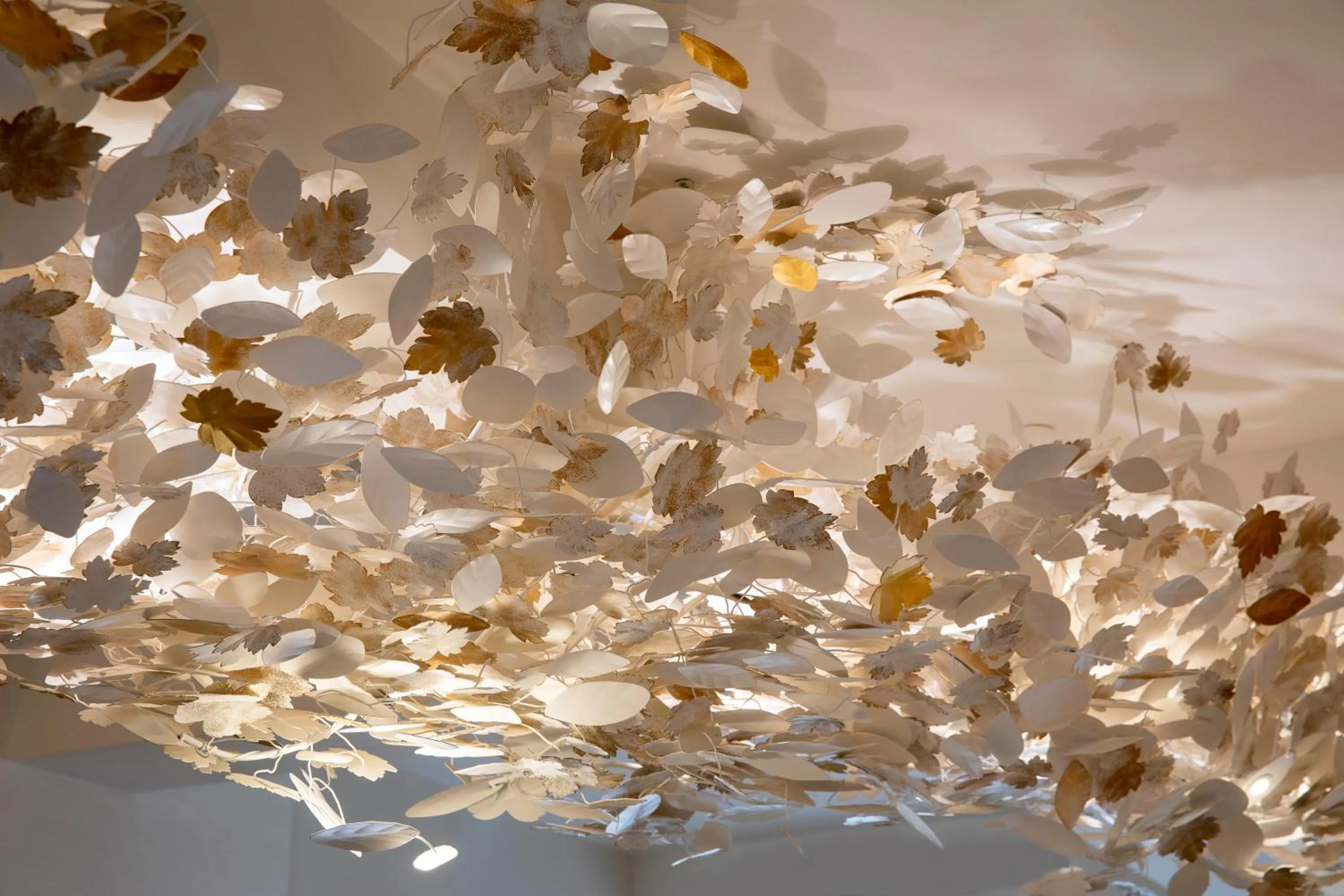 Hôtel des Champs-Elysées