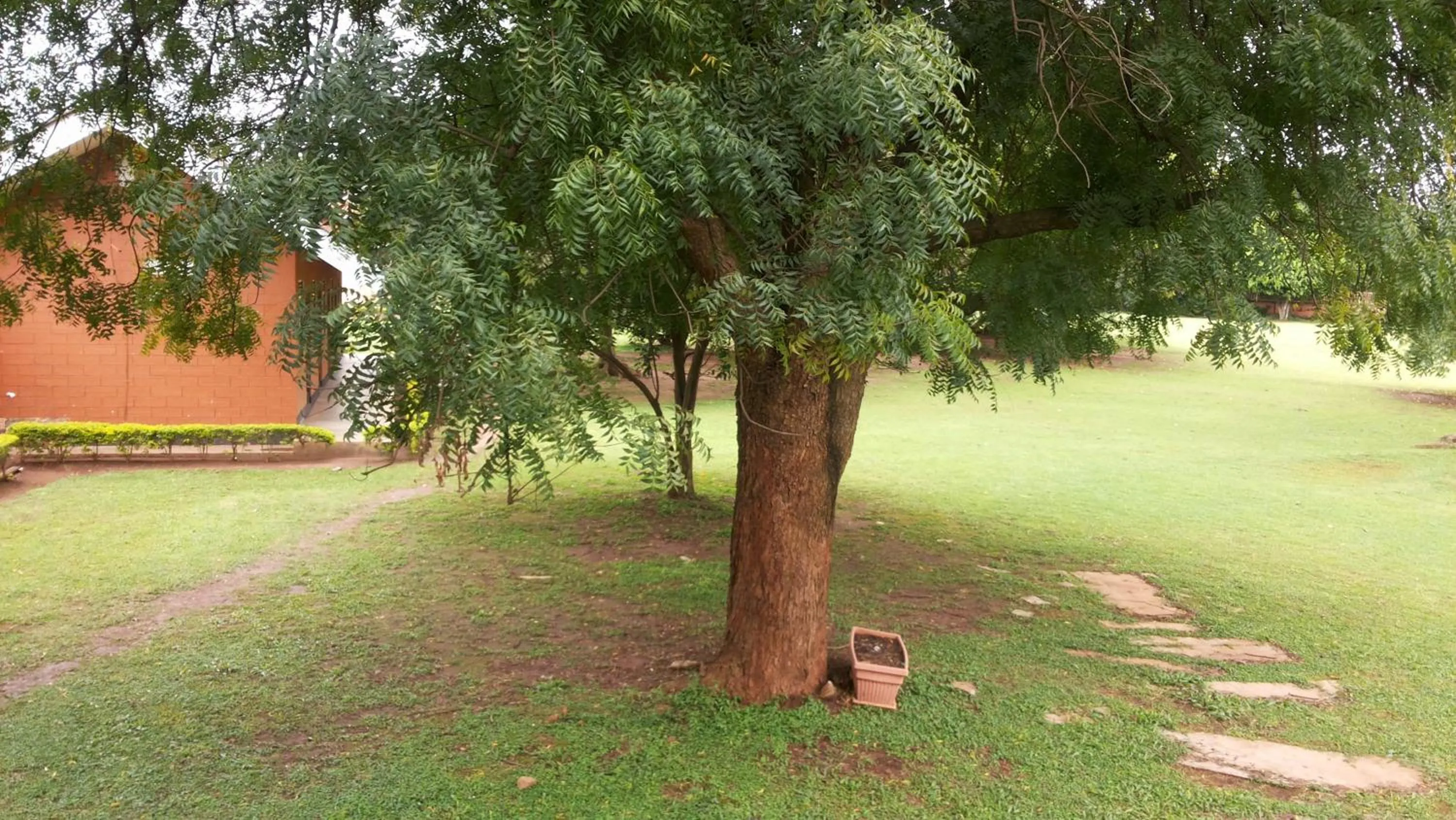Garden in St Lira Hotel