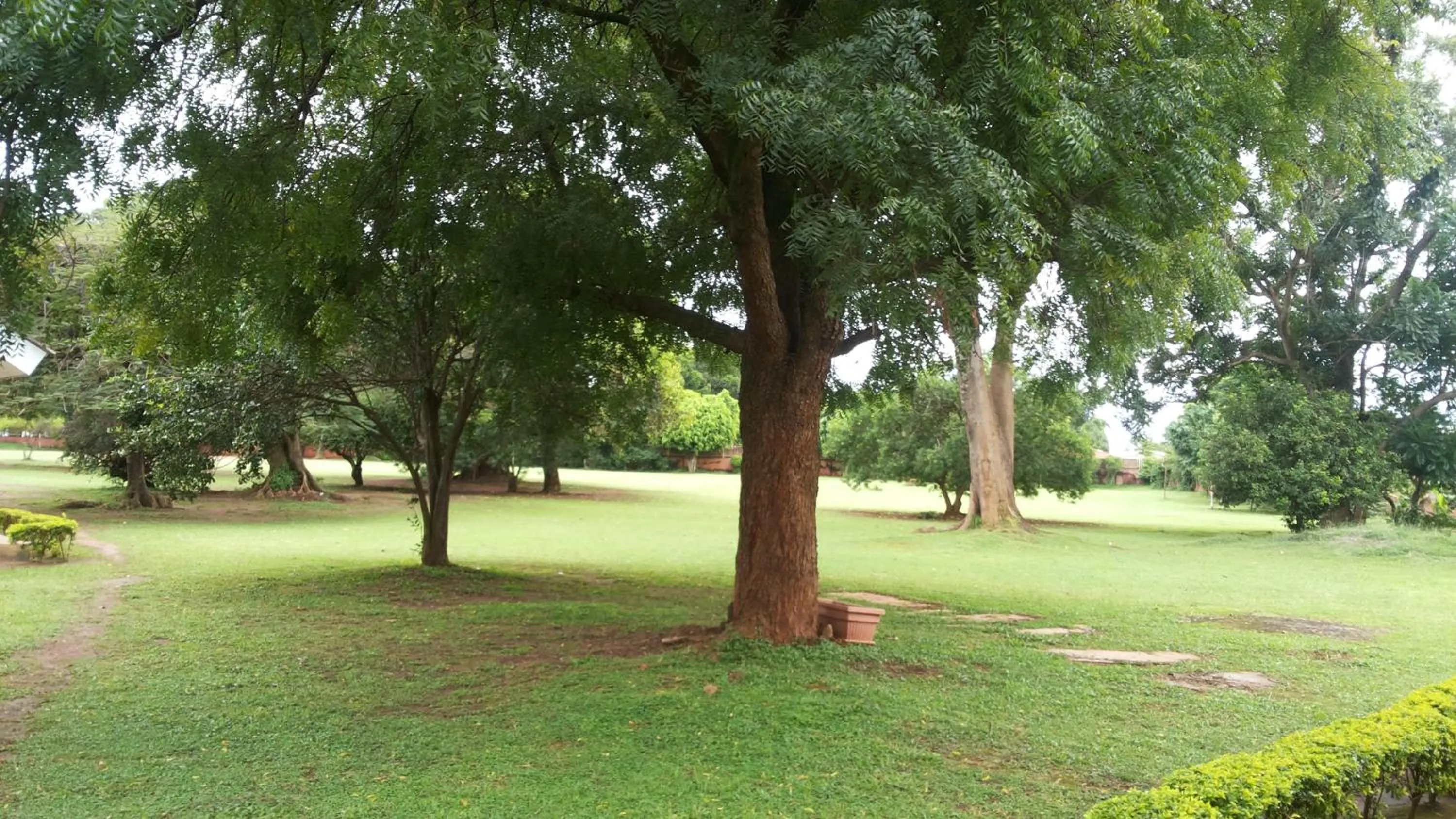 Garden in St Lira Hotel