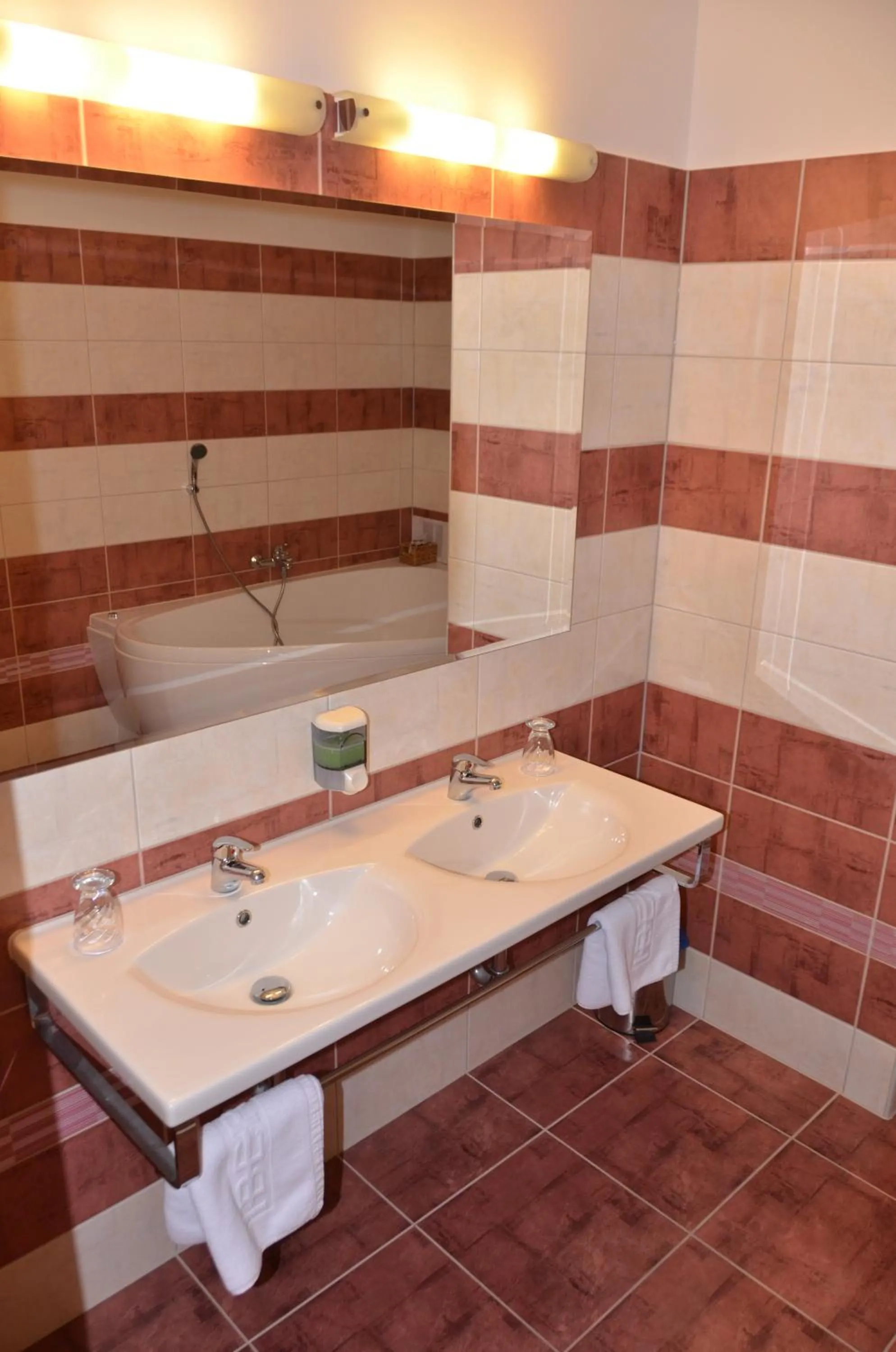 Bathroom in Hotel Iberia