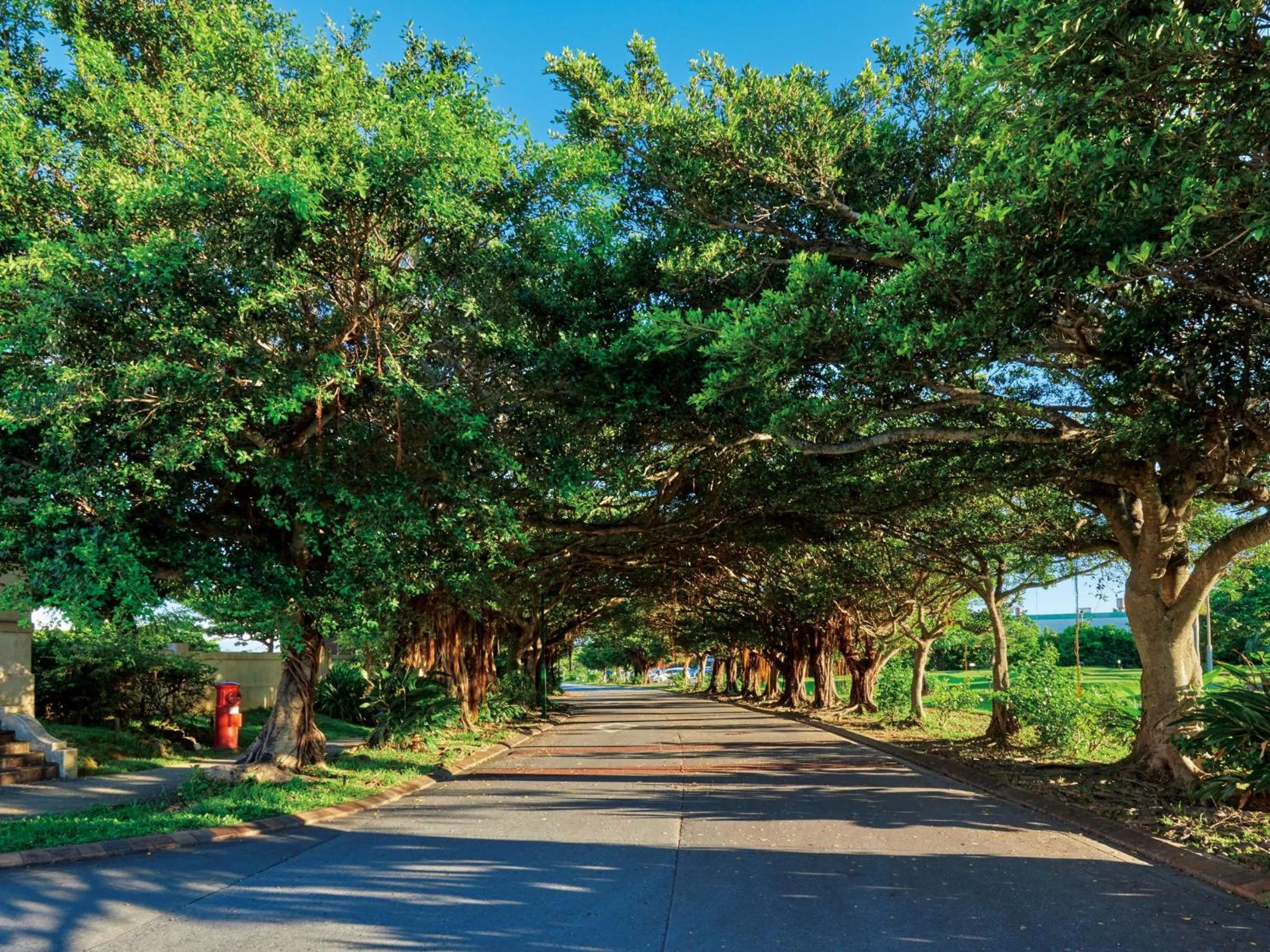 On site in Hotel Nikko Alivila