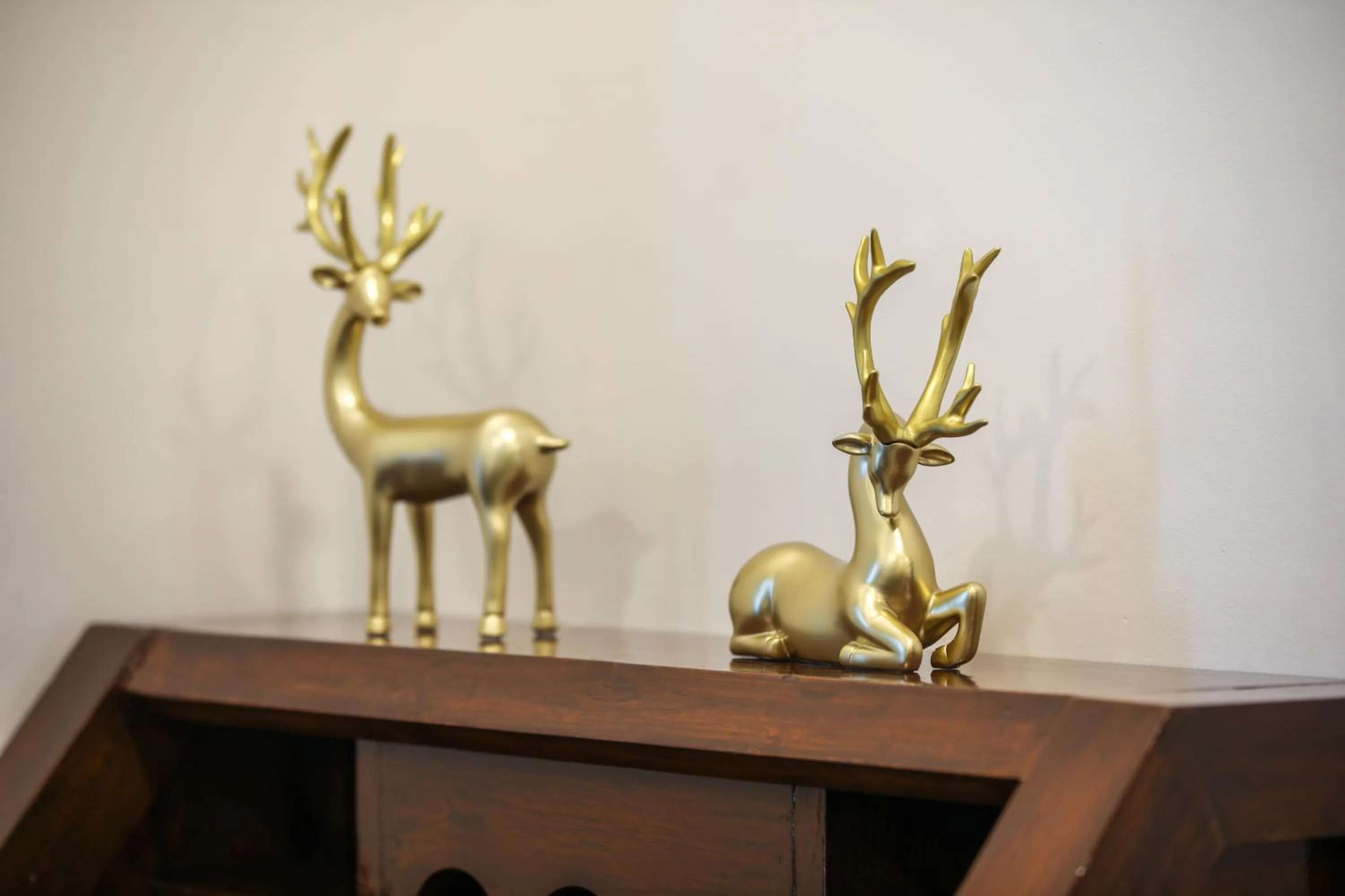 Decorative detail in The Orchid Hotel Hinjewadi Pune