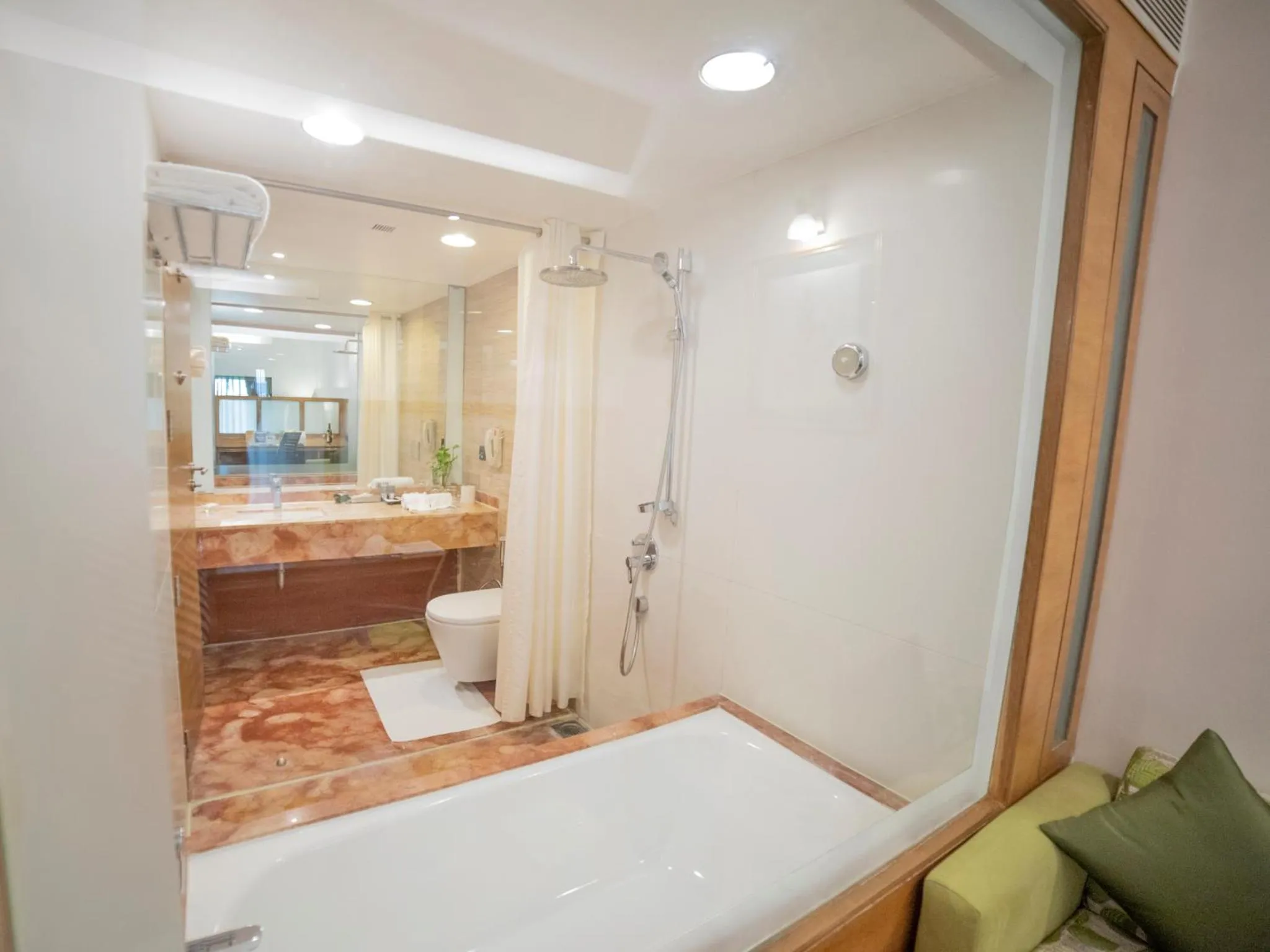 Toilet in The Orchid Hotel Hinjewadi Pune