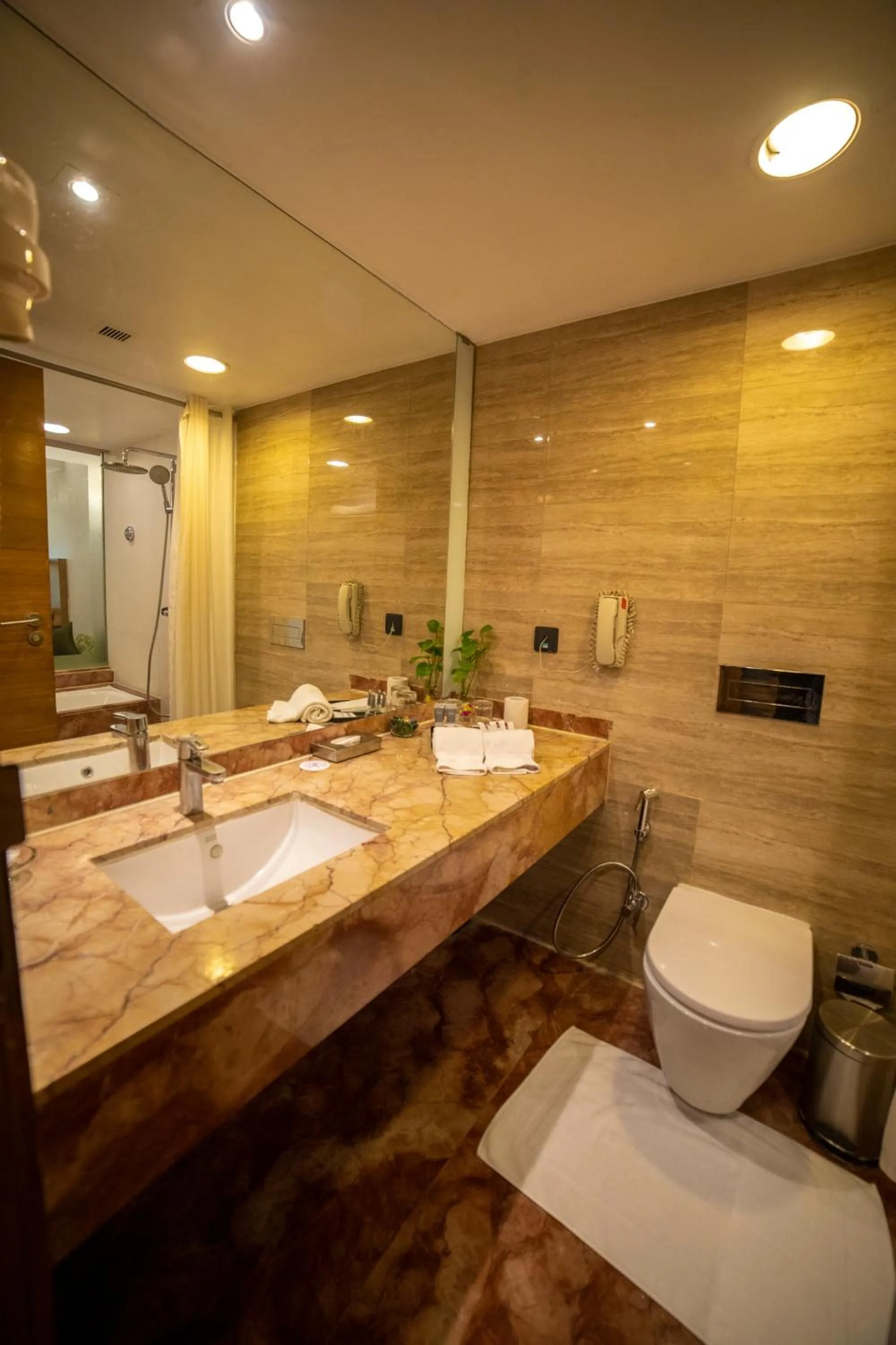 Toilet in The Orchid Hotel Hinjewadi Pune