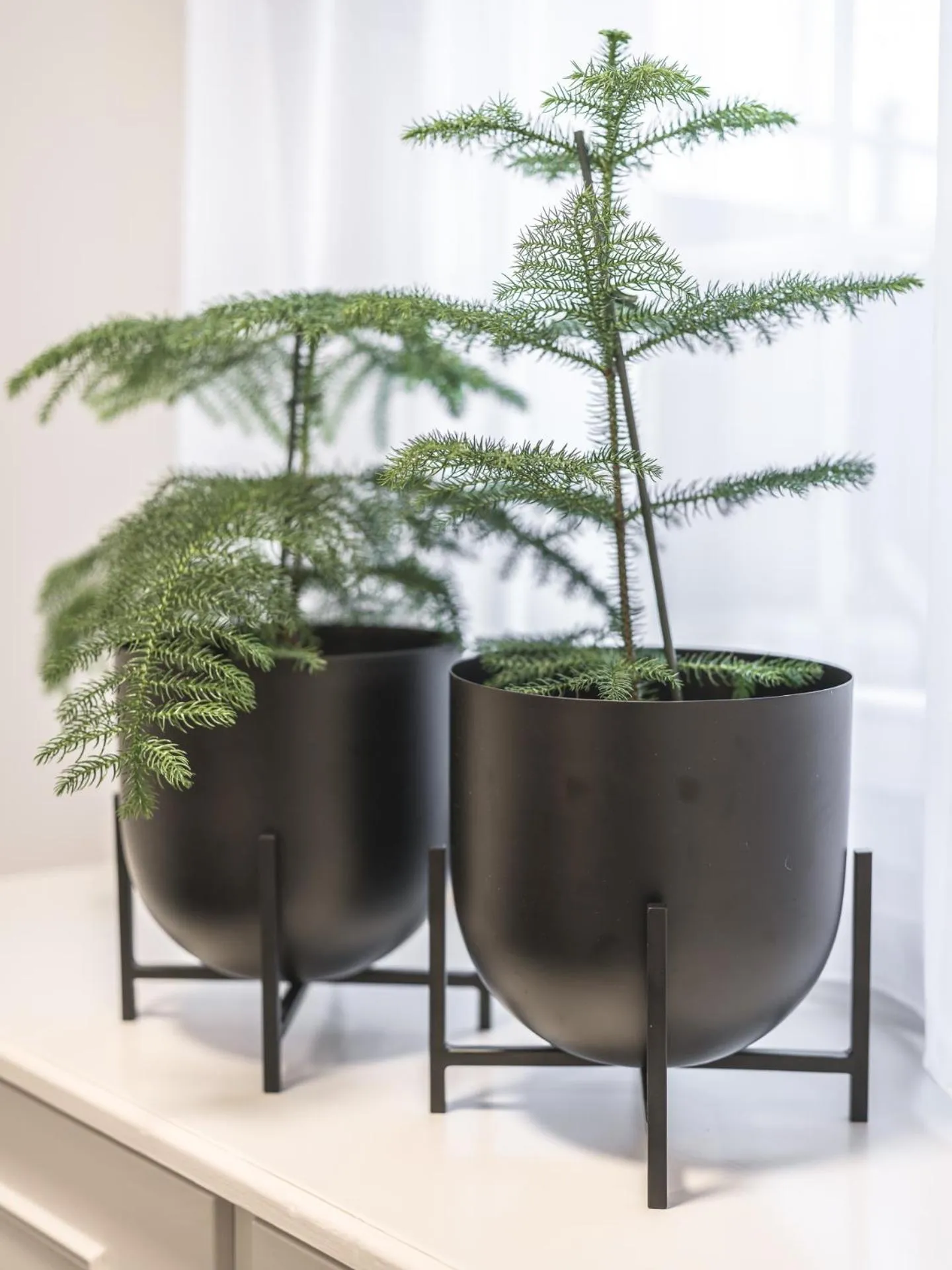 Facade/entrance in Traube Restaurant & Hotel