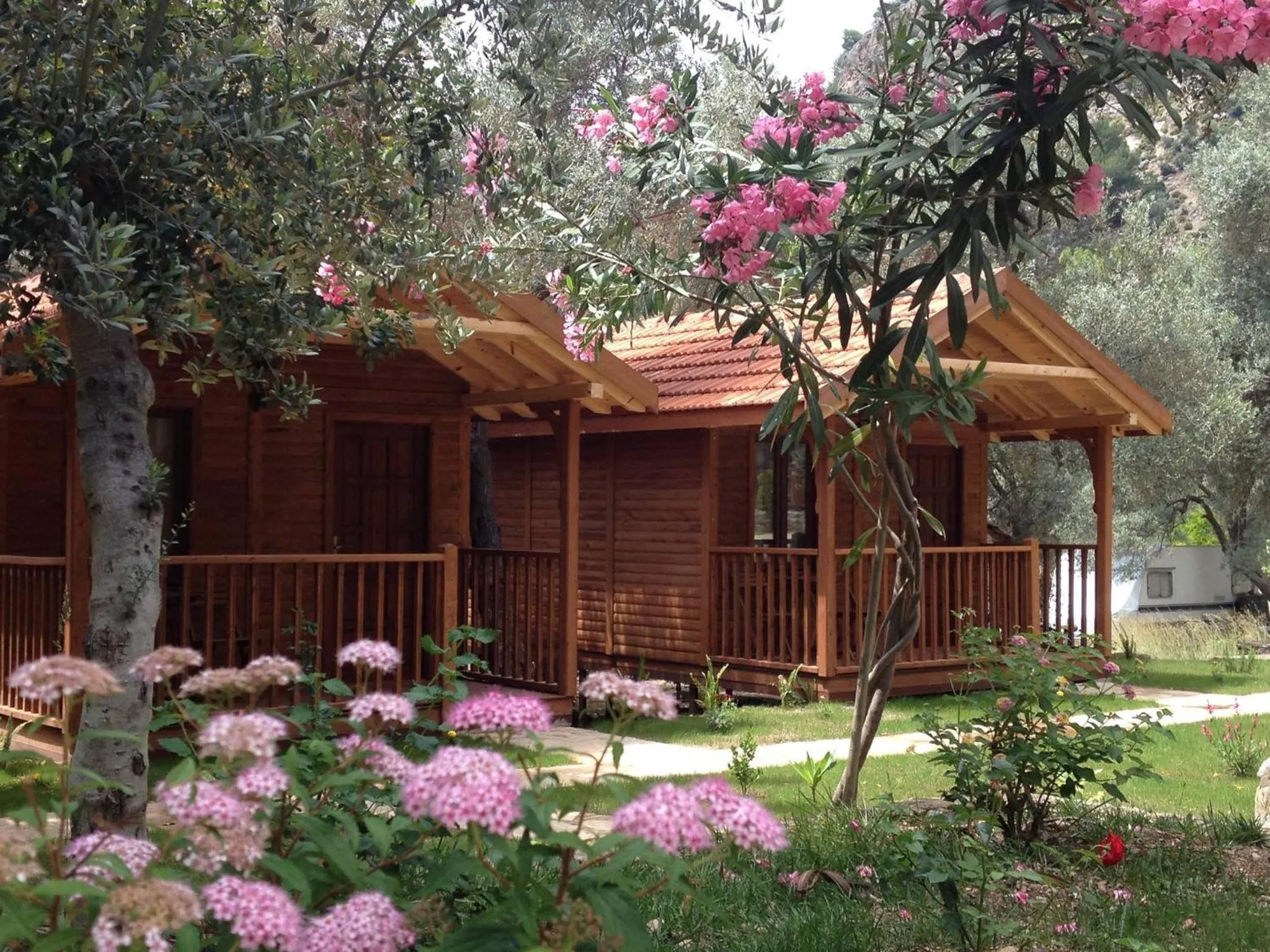 Garden view in KiDRAK OTEL MONTENEGRO-1