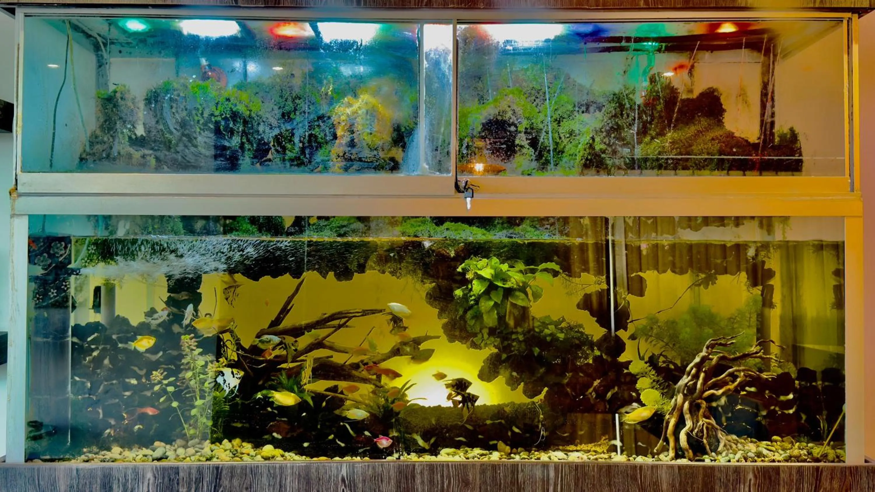 Hotel La Casa de Irma