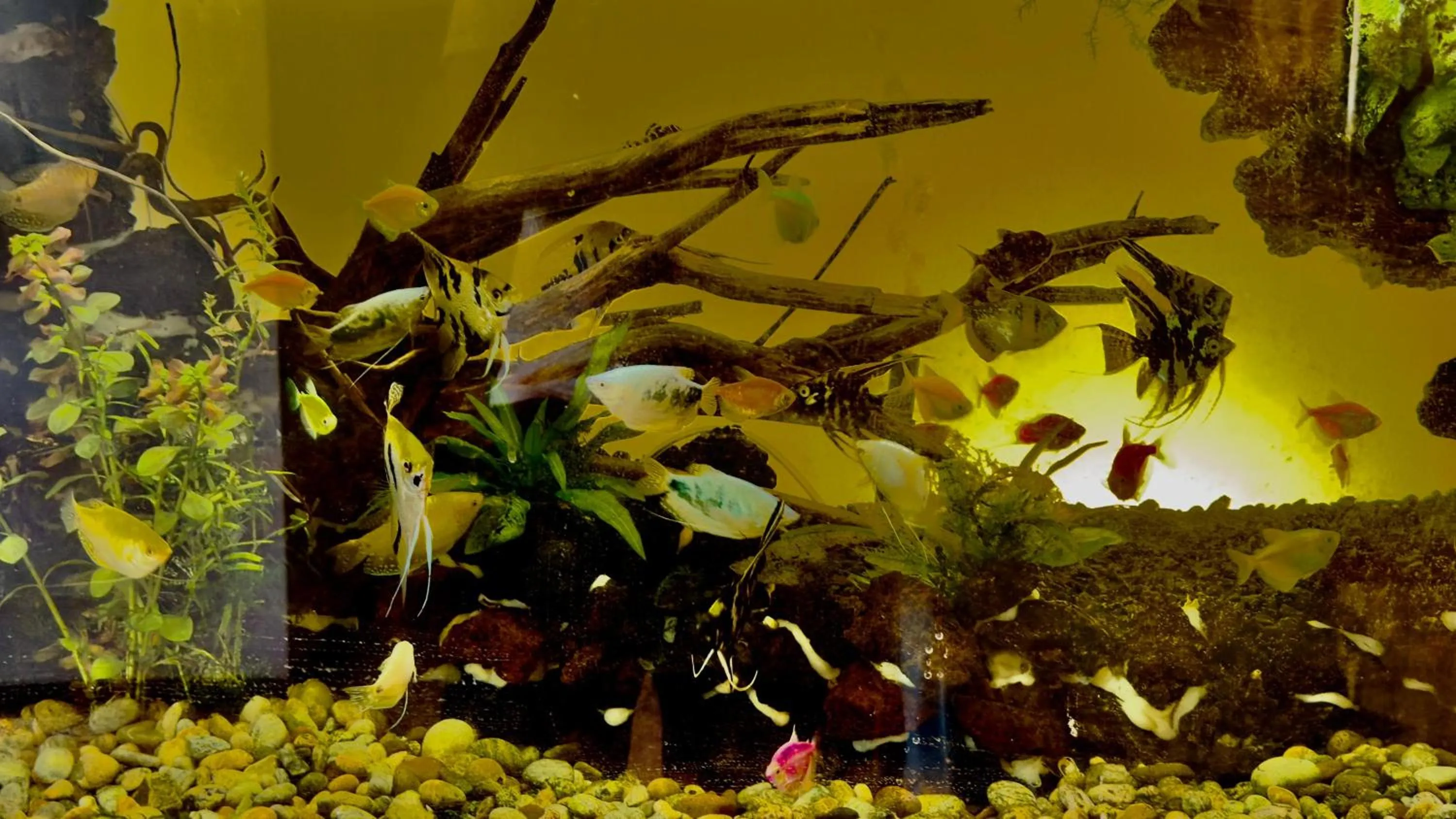 Hotel La Casa de Irma