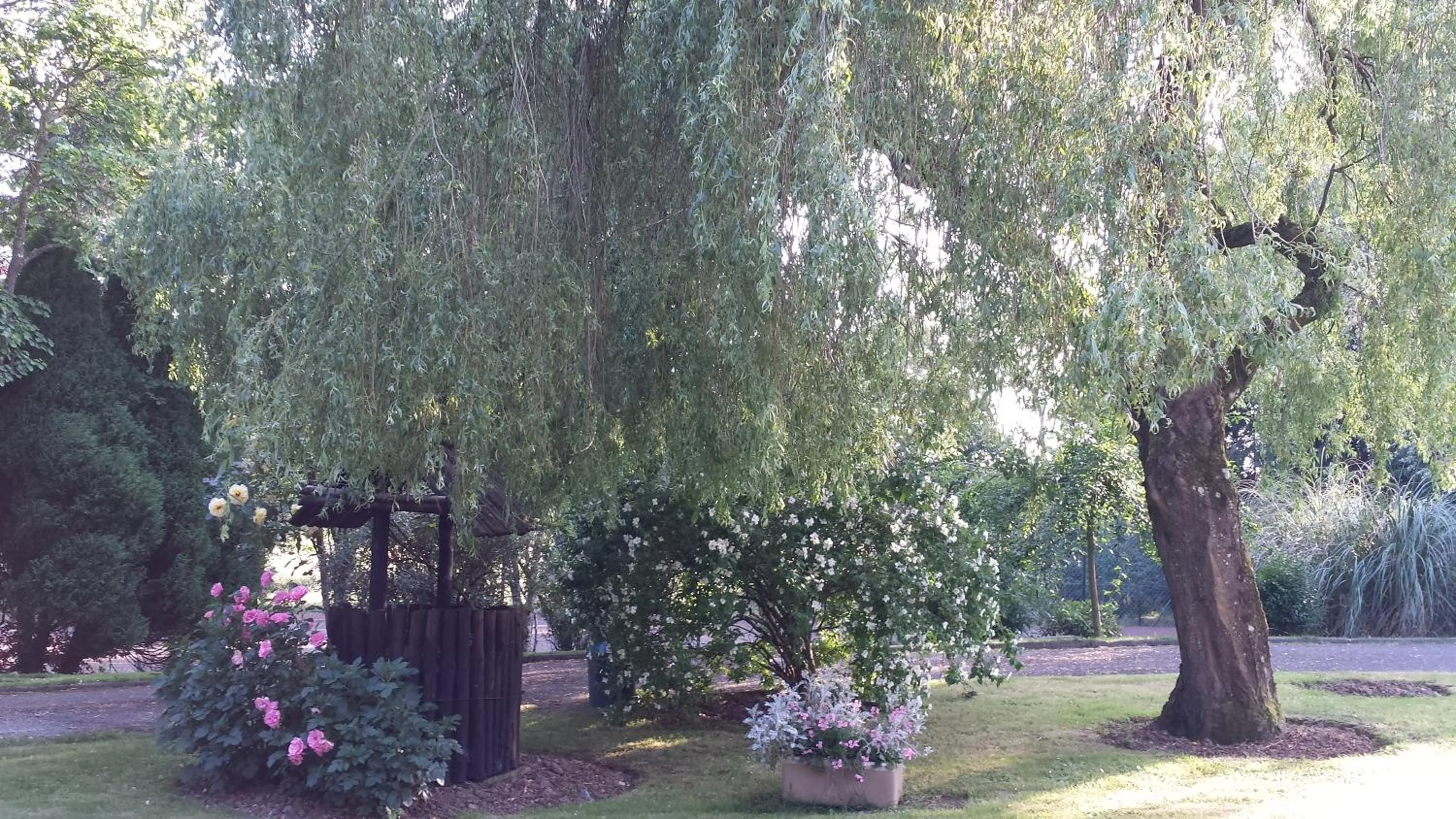 Garden in Riverfield Bed and Breakfast