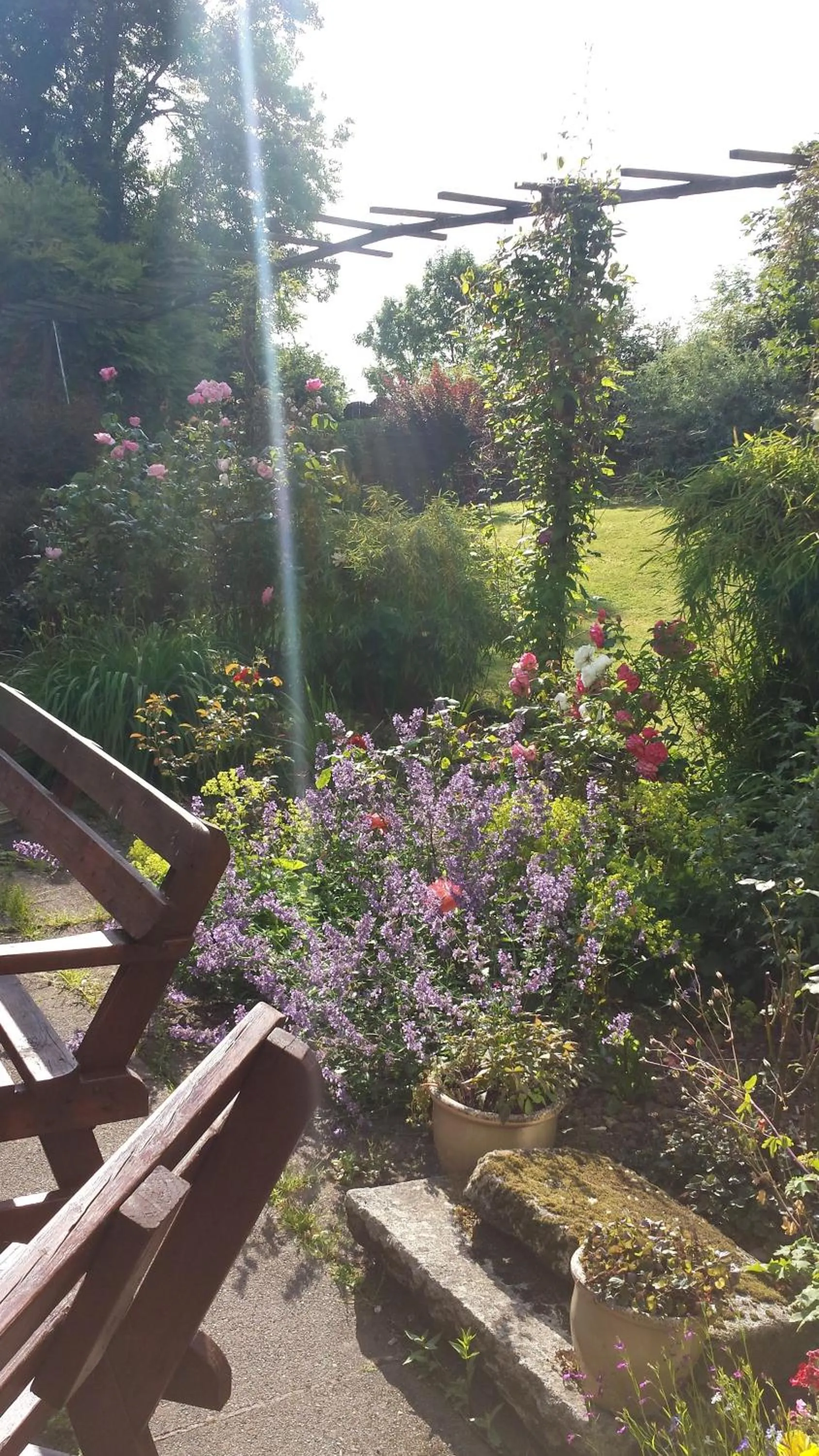 Garden in Riverfield Bed and Breakfast