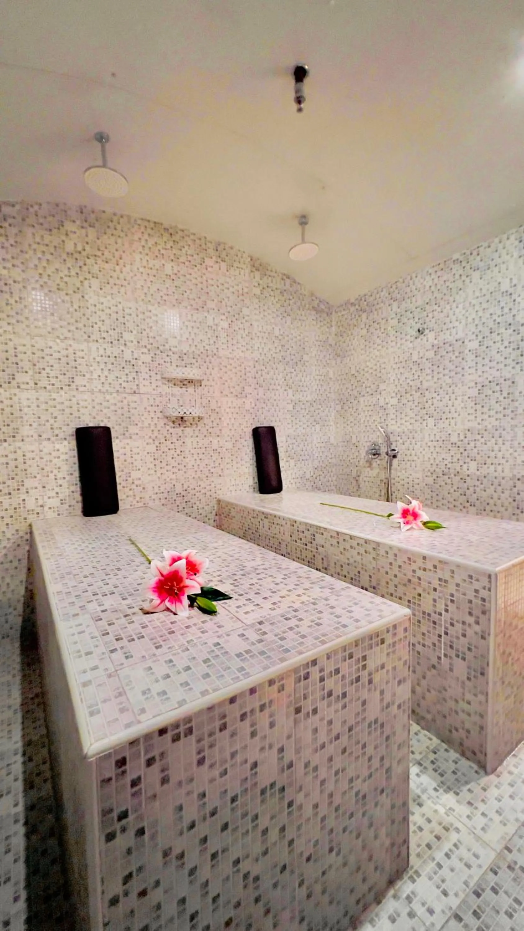 Spa and wellness centre/facilities in BW Suites & Spa