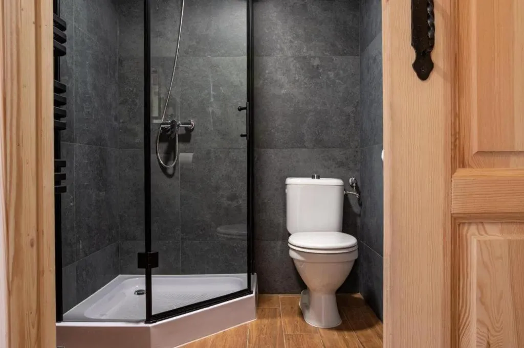 Shower in Dom Tatrzański Ewa Deluxe