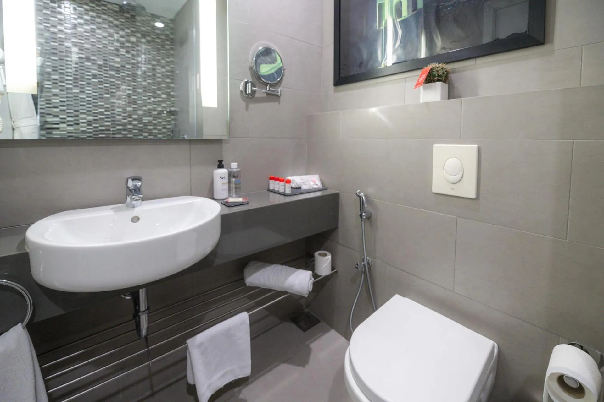 Bathroom in The Smallville Hotel