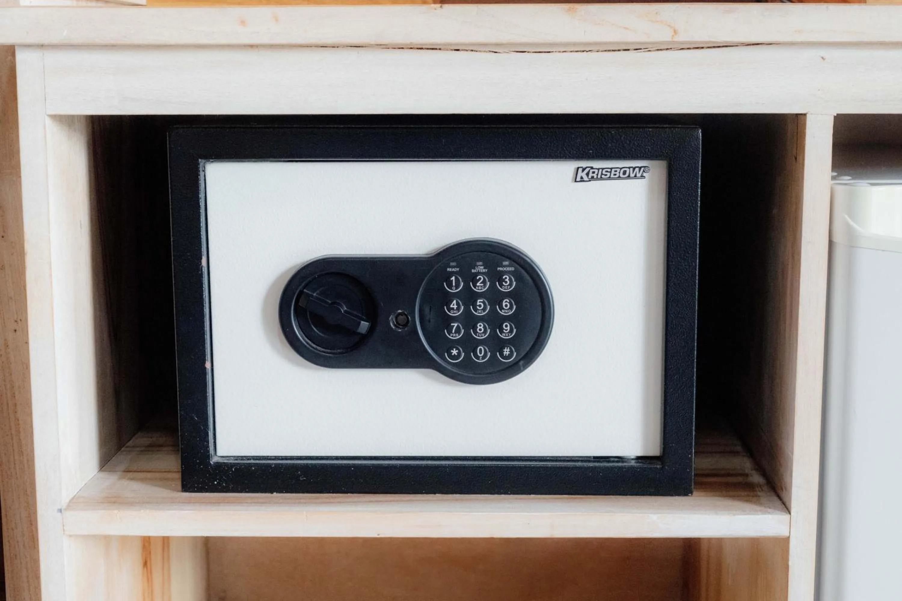 safe in Reynten Hill