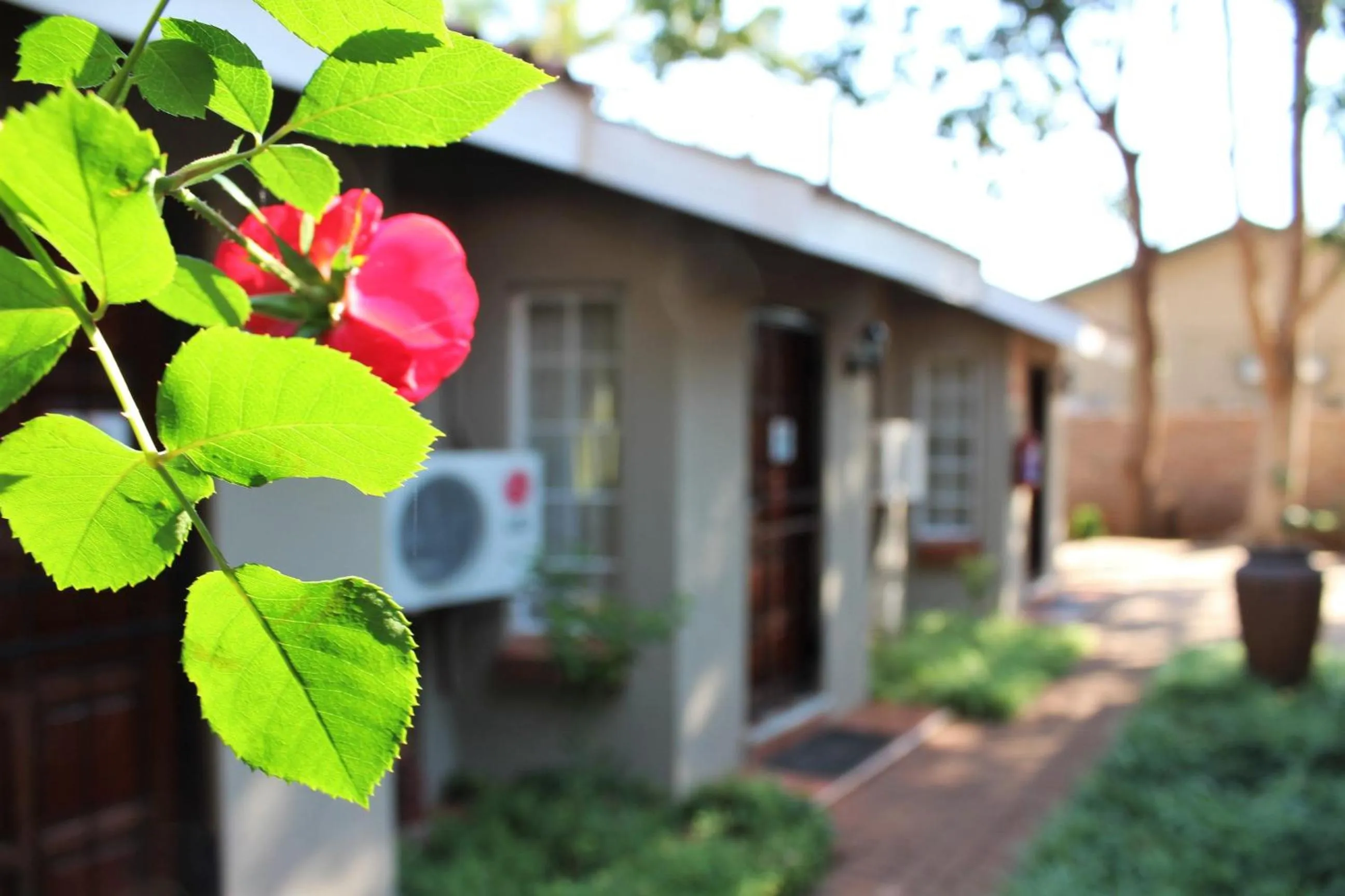 Ngwenya Boutique Hotel