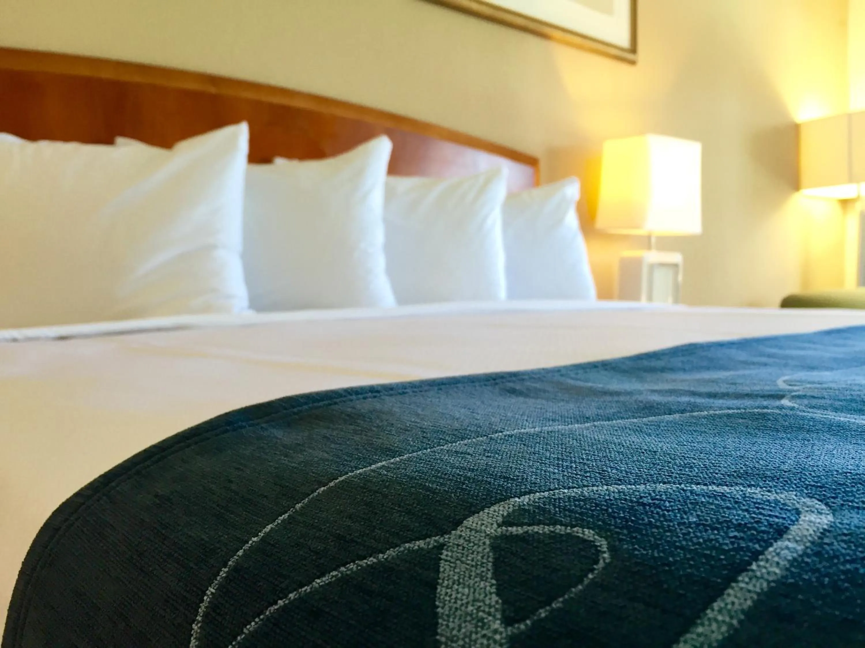 Bed in Seasons Florida Resort