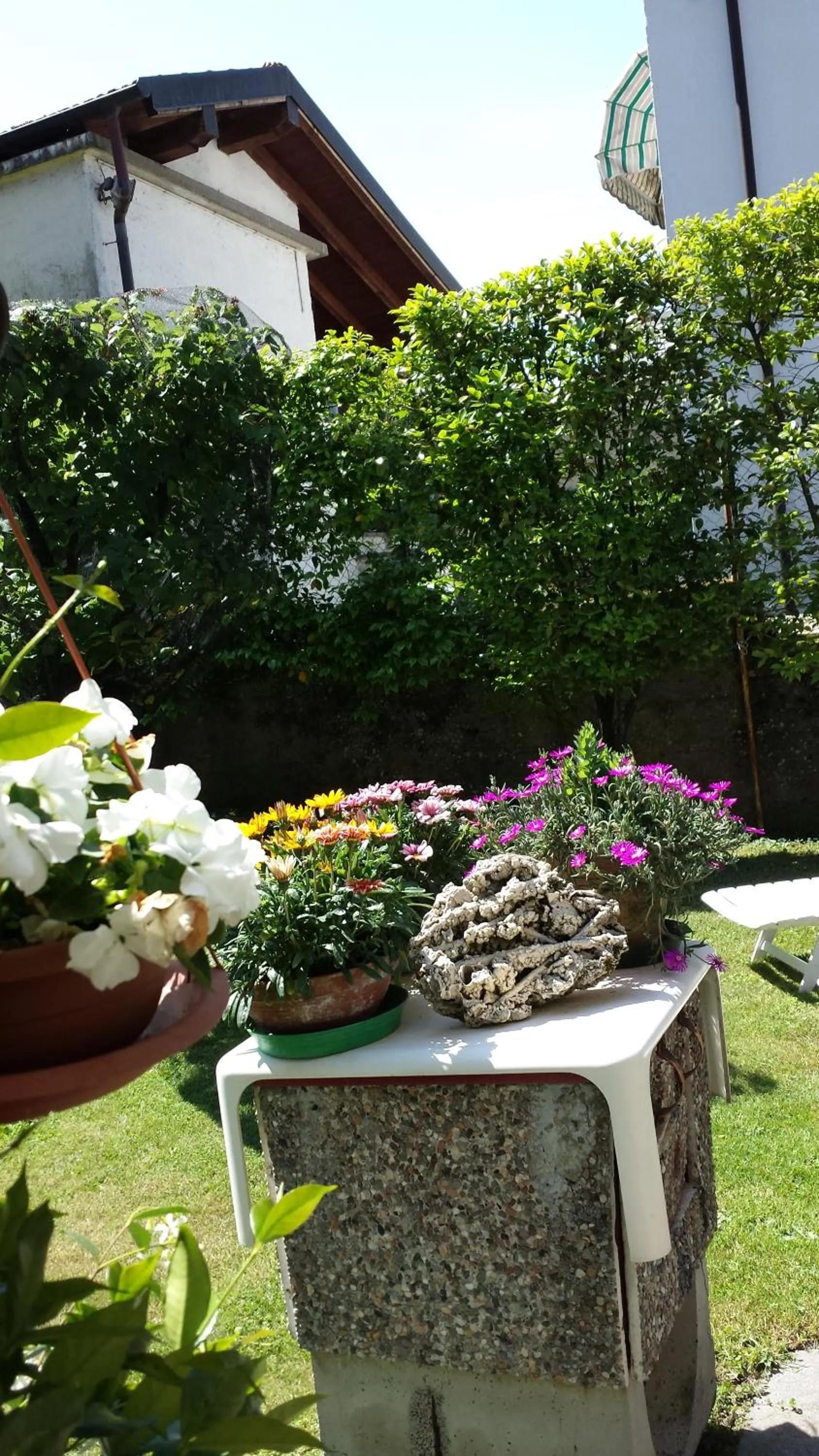 Garden in Bed & Breakfast Gli Oleandri