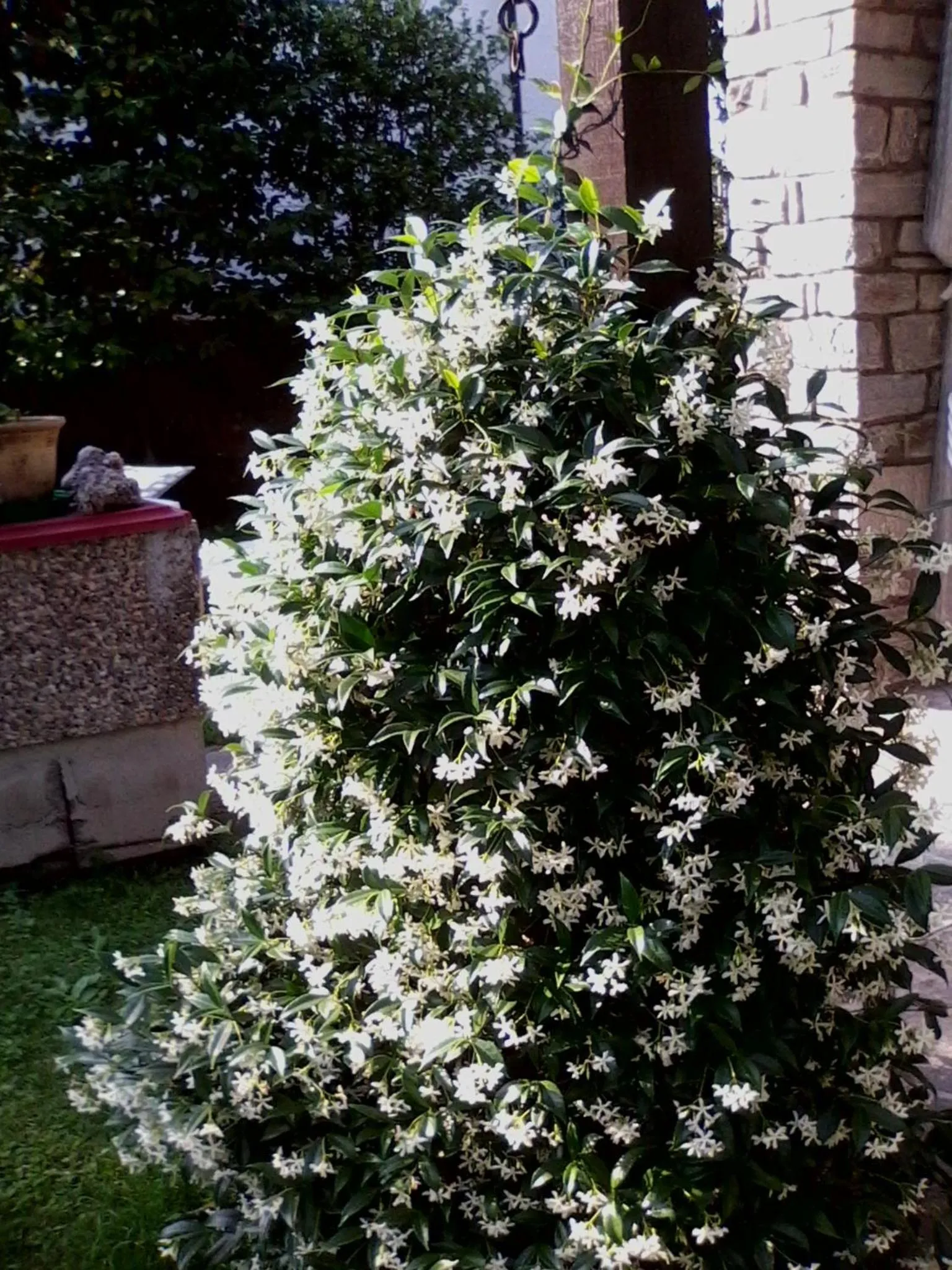 Garden in Bed & Breakfast Gli Oleandri