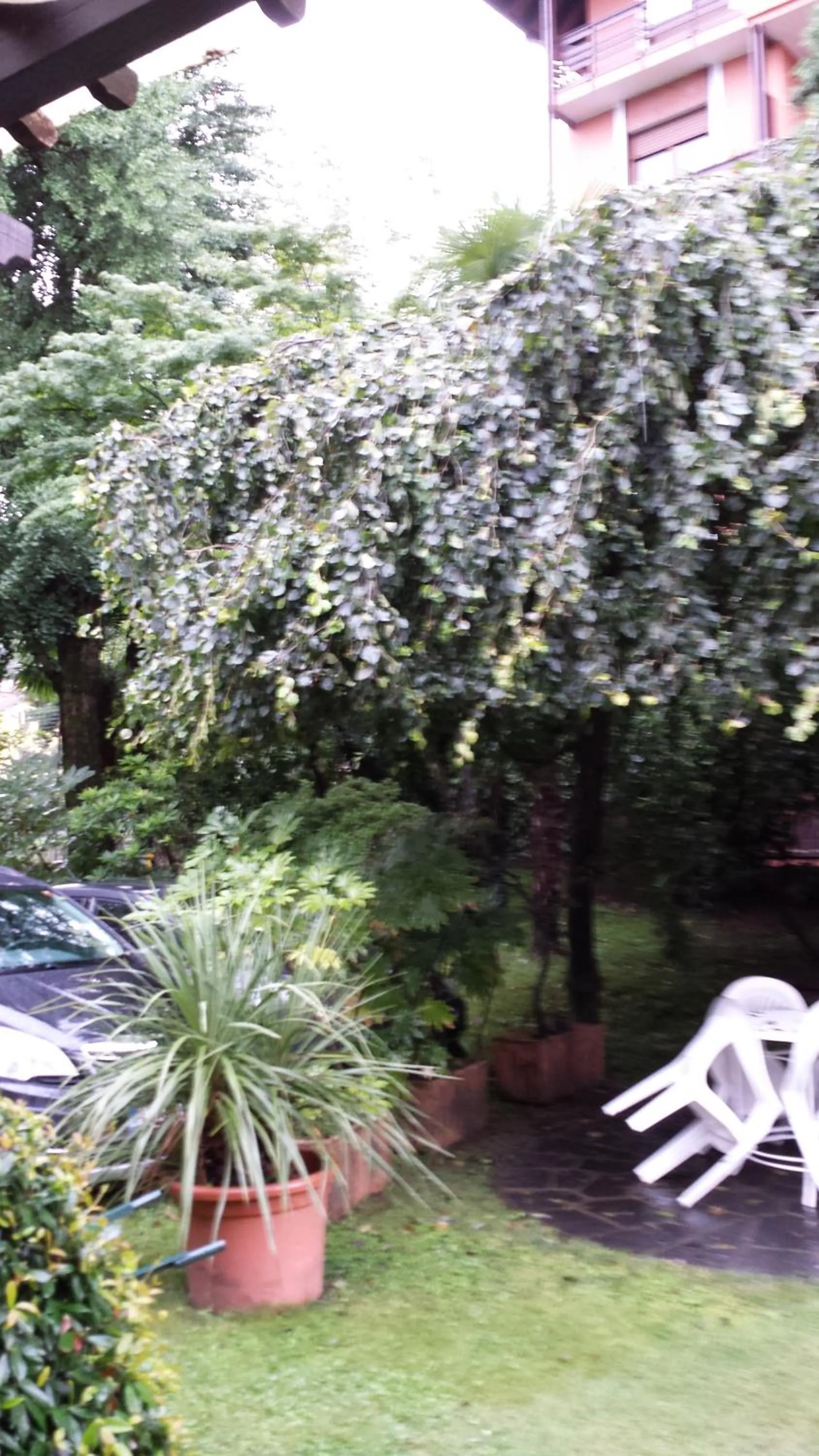 Patio in Bed & Breakfast Gli Oleandri