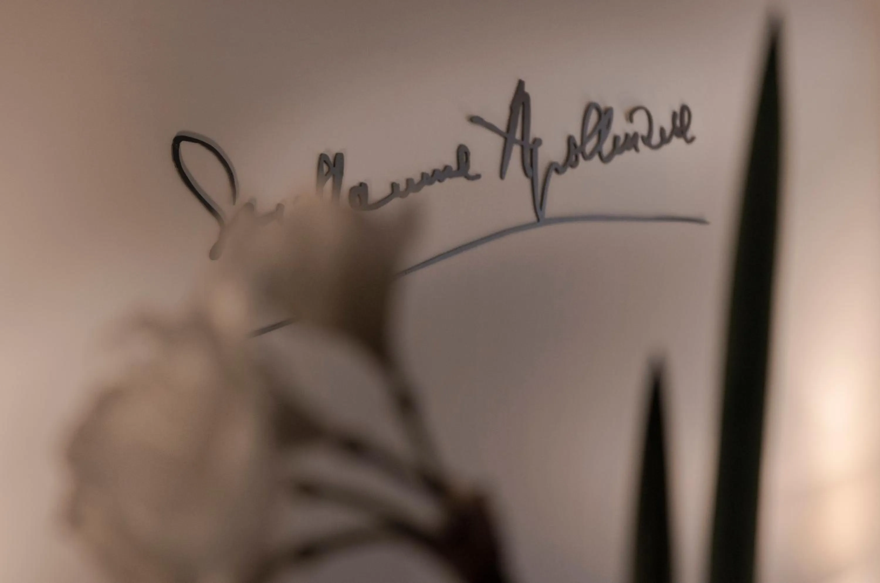 Decorative detail in Apollinaire