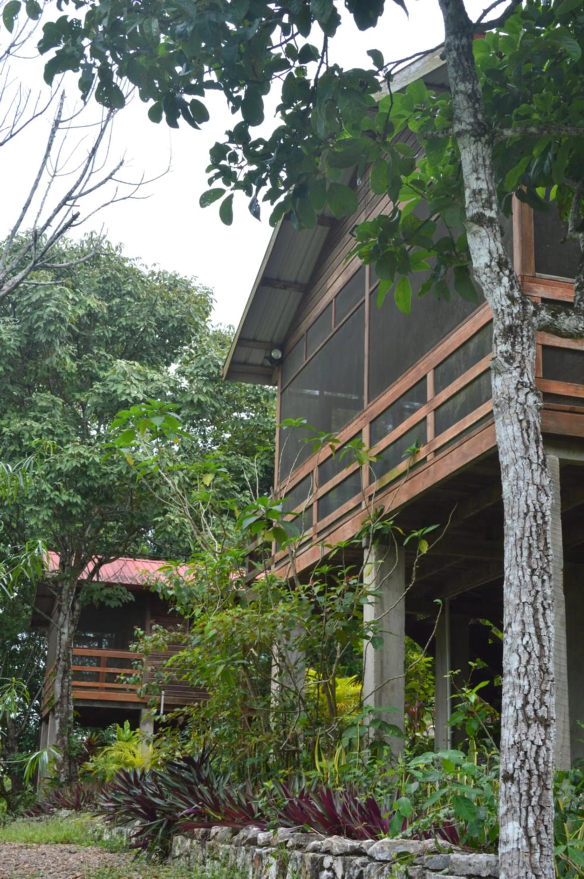 Property building in Santa Cruz Cabins