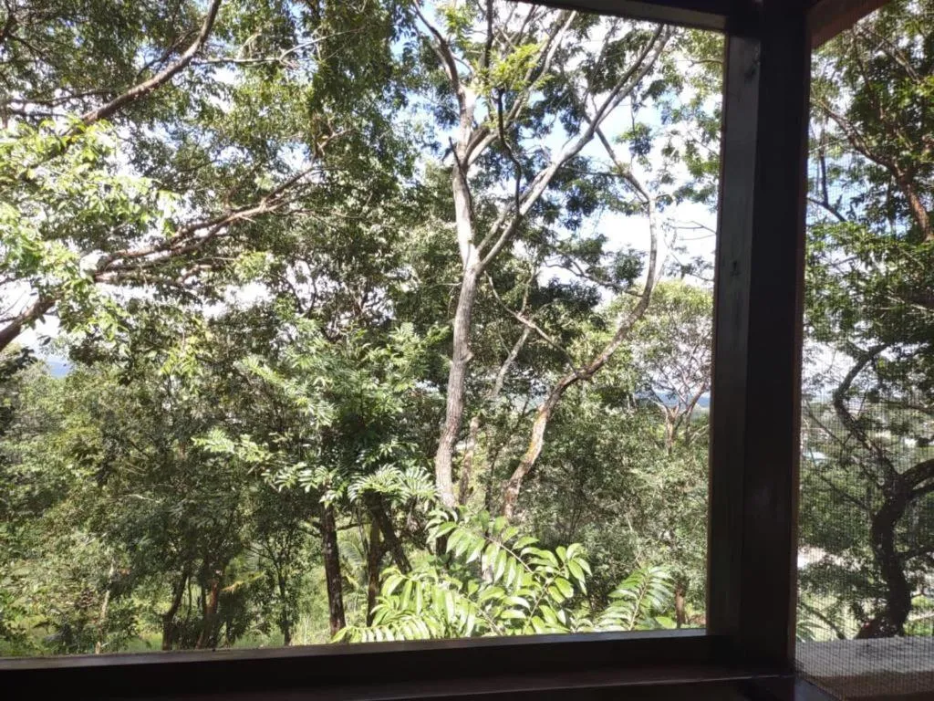 Natural landscape in Santa Cruz Cabins