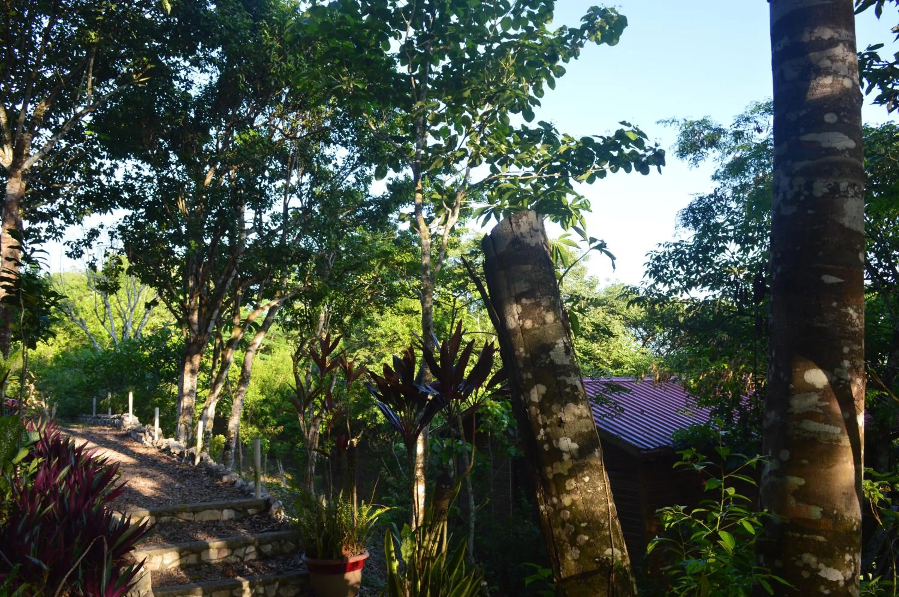 Natural landscape in Santa Cruz Cabins