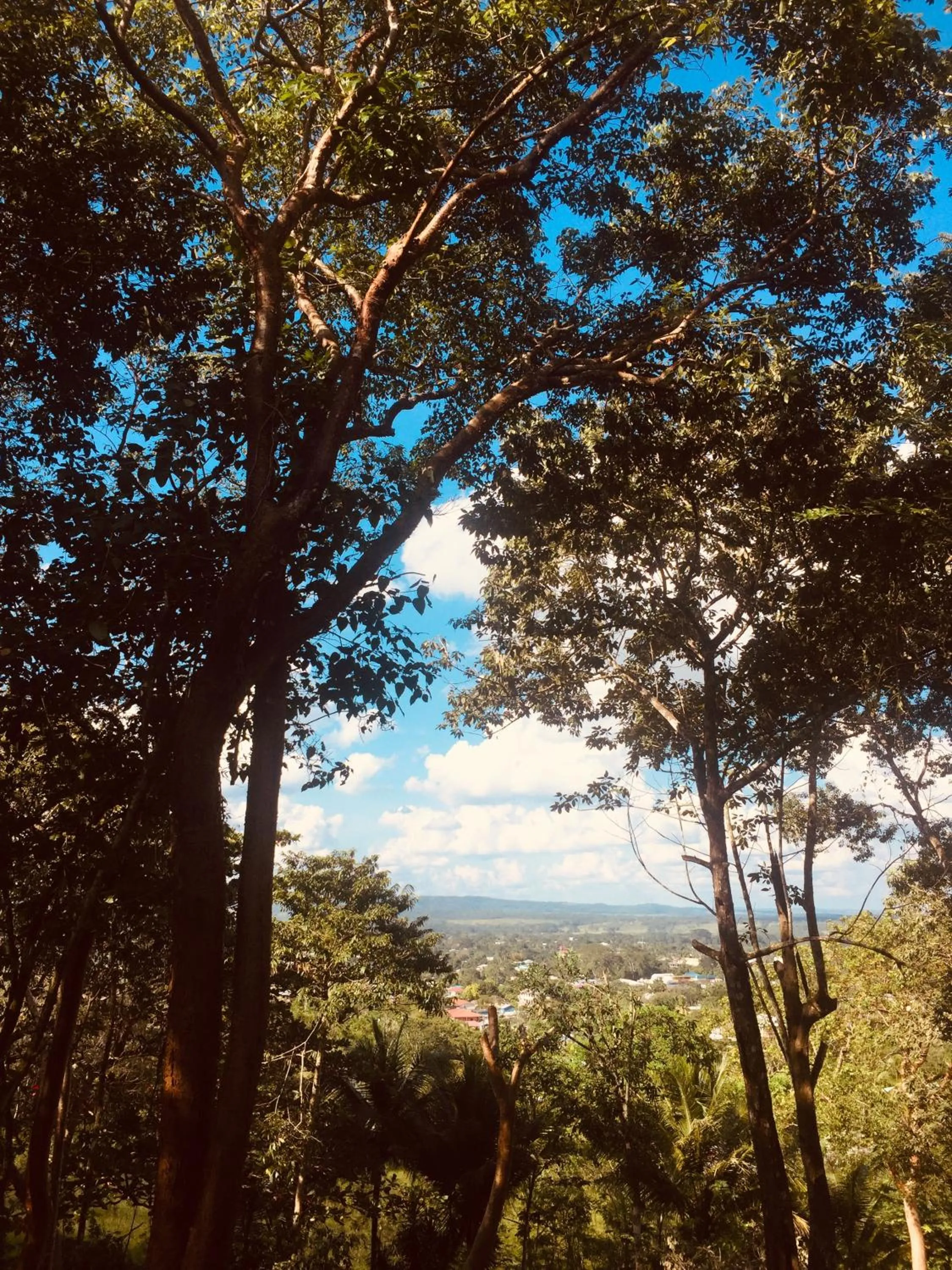 Natural landscape in Santa Cruz Cabins