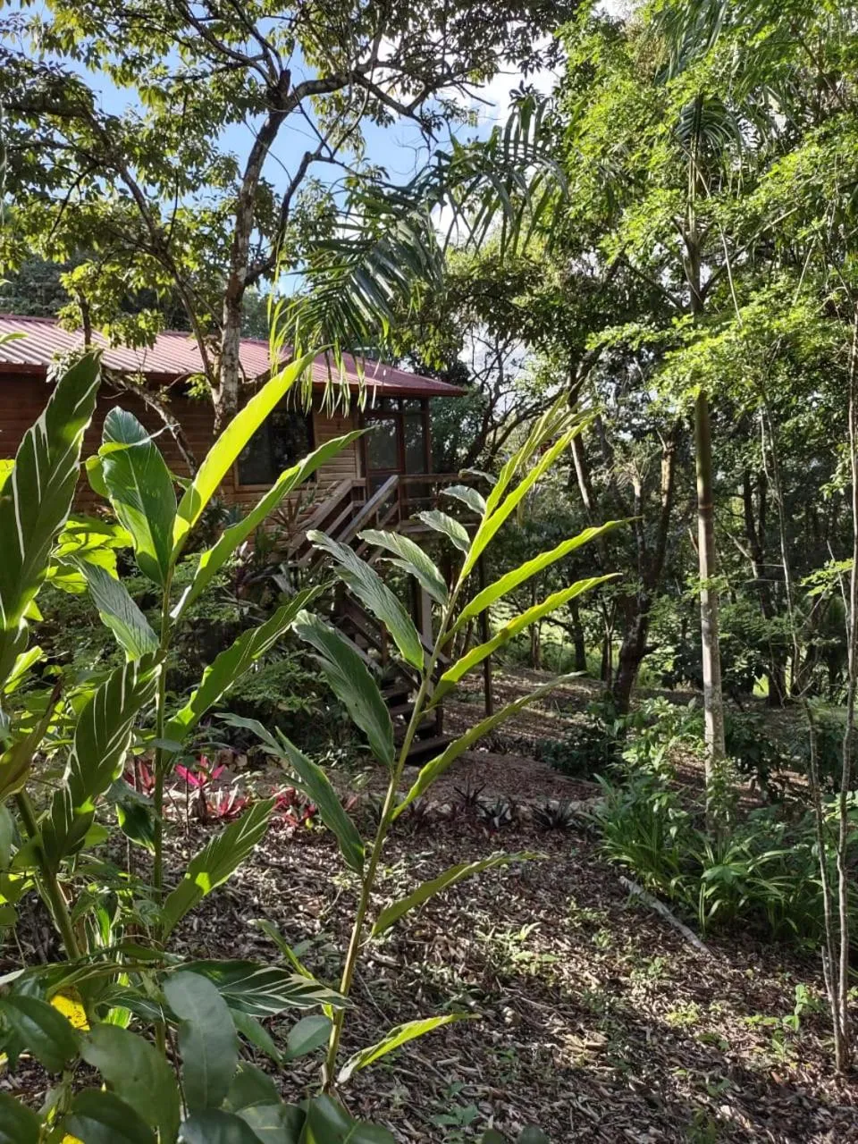 Garden in Santa Cruz Cabins