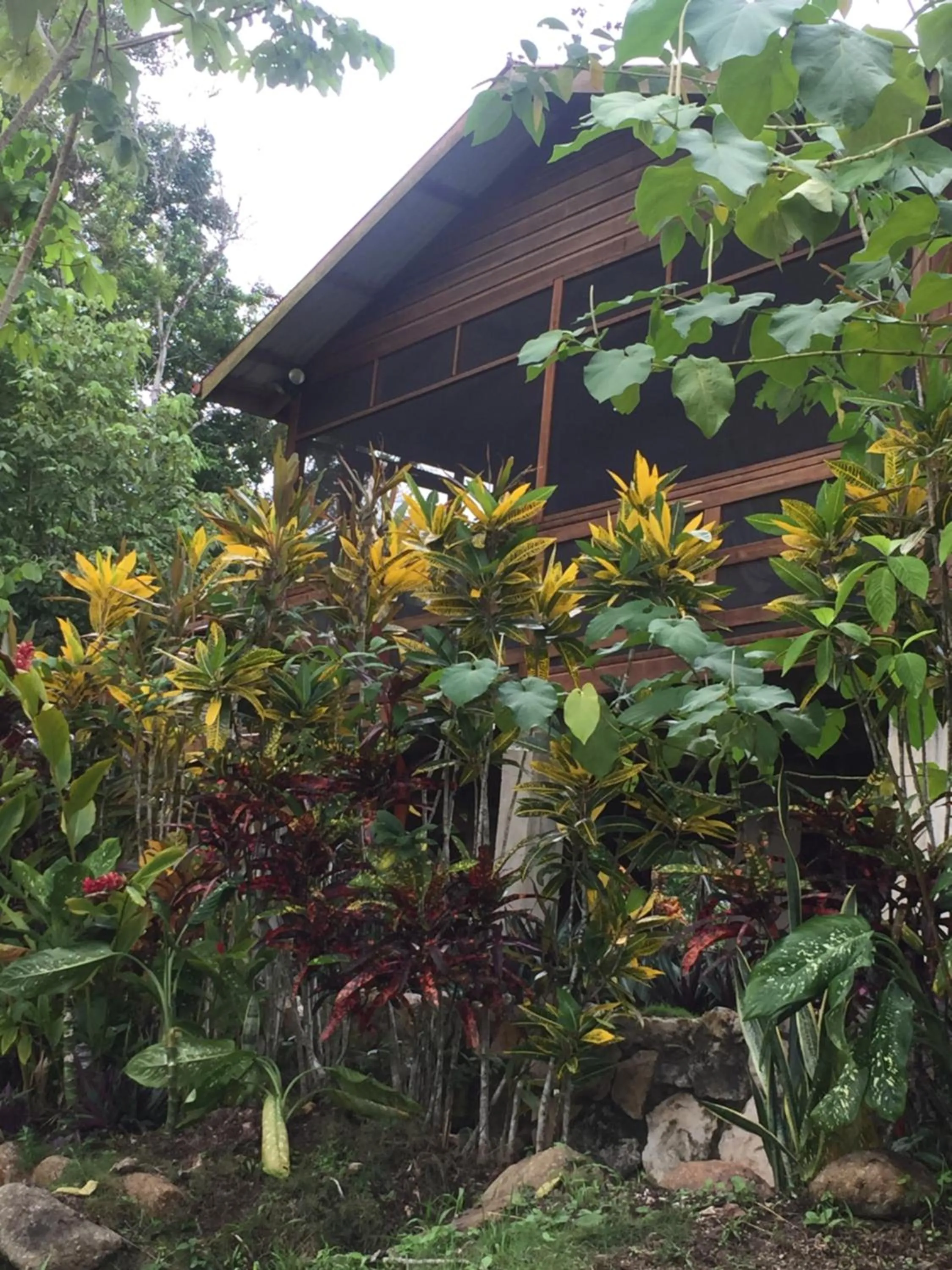 Property building in Santa Cruz Cabins