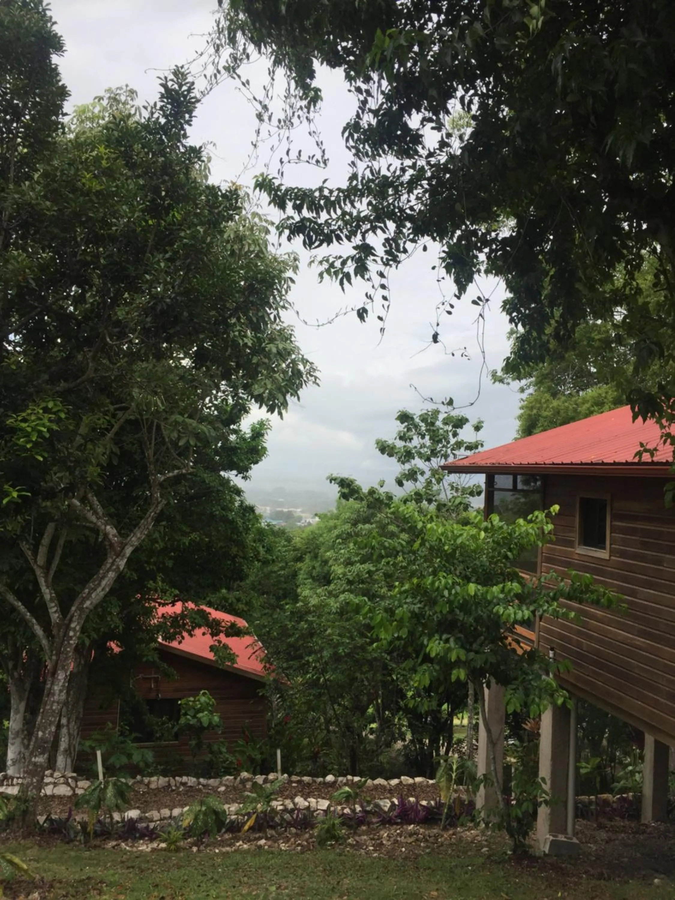 Property building in Santa Cruz Cabins