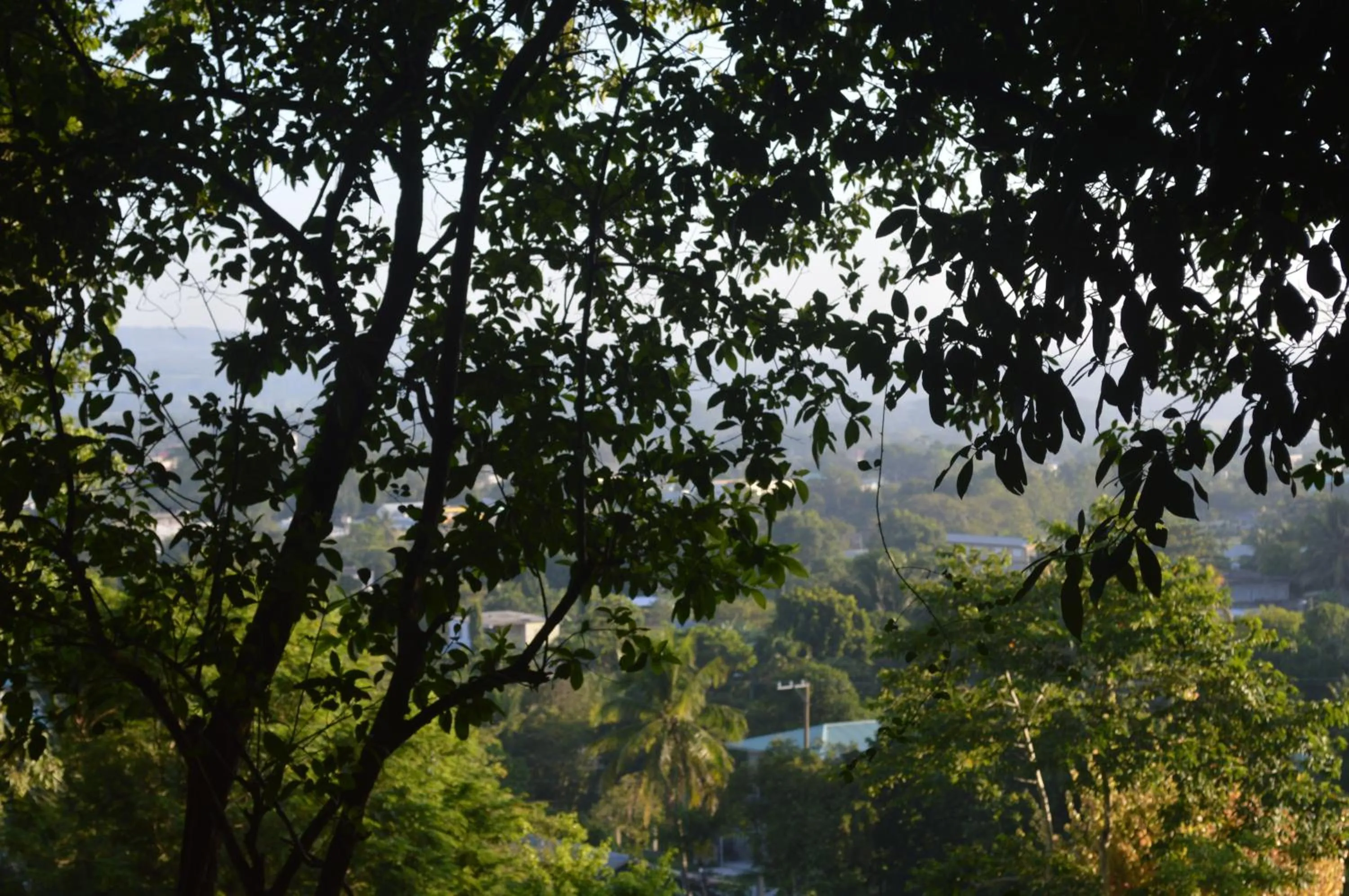 Natural landscape in Santa Cruz Cabins